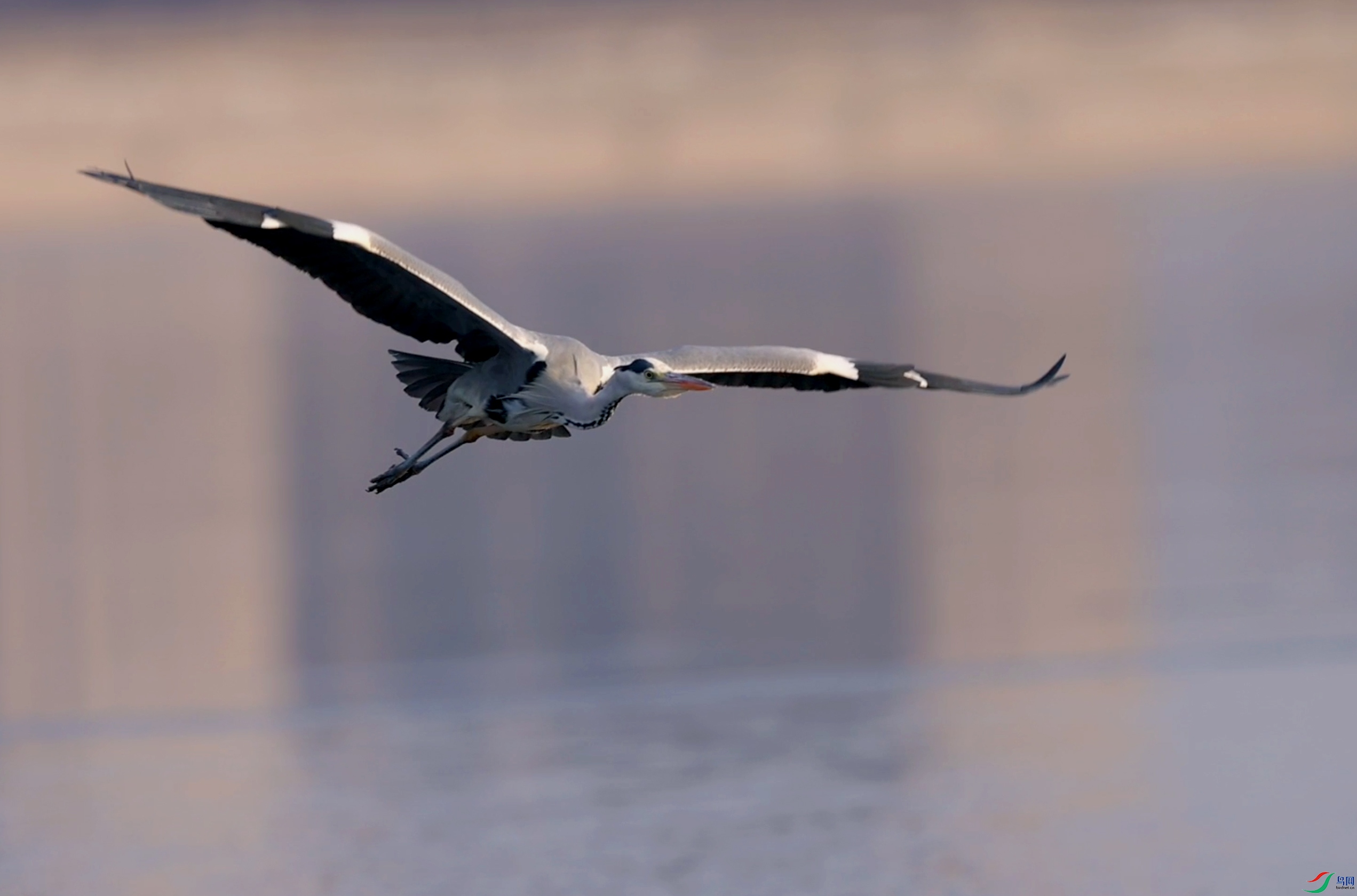 QQ20260413-213721.jpg