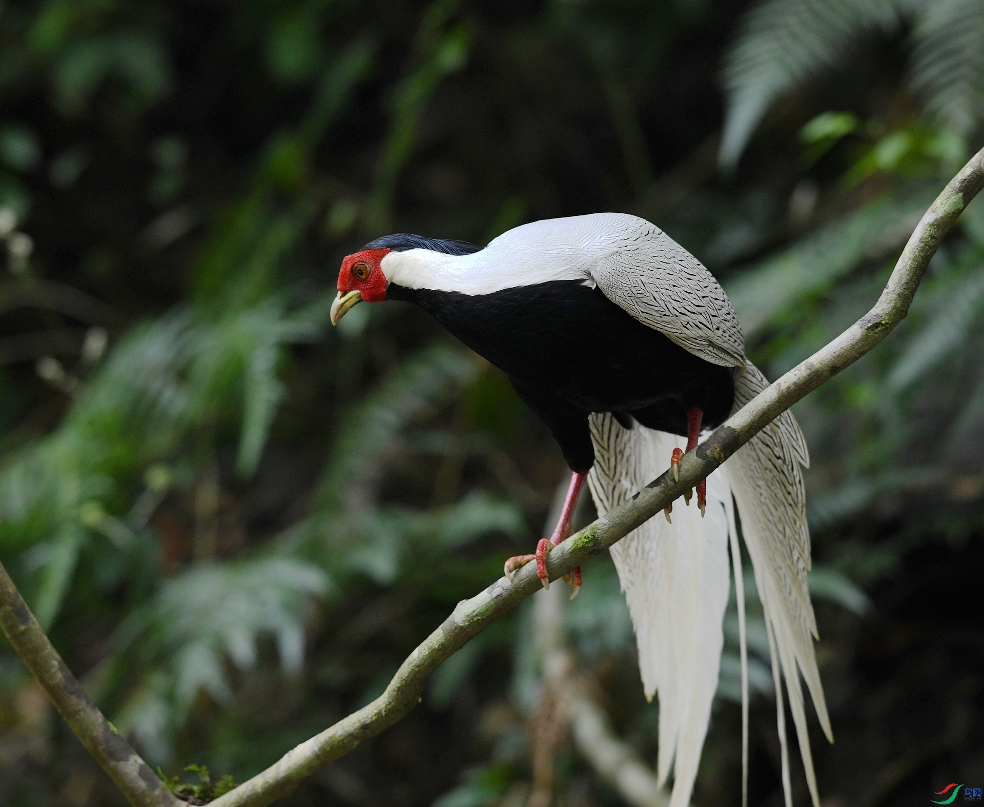 DSC_5944.jpg