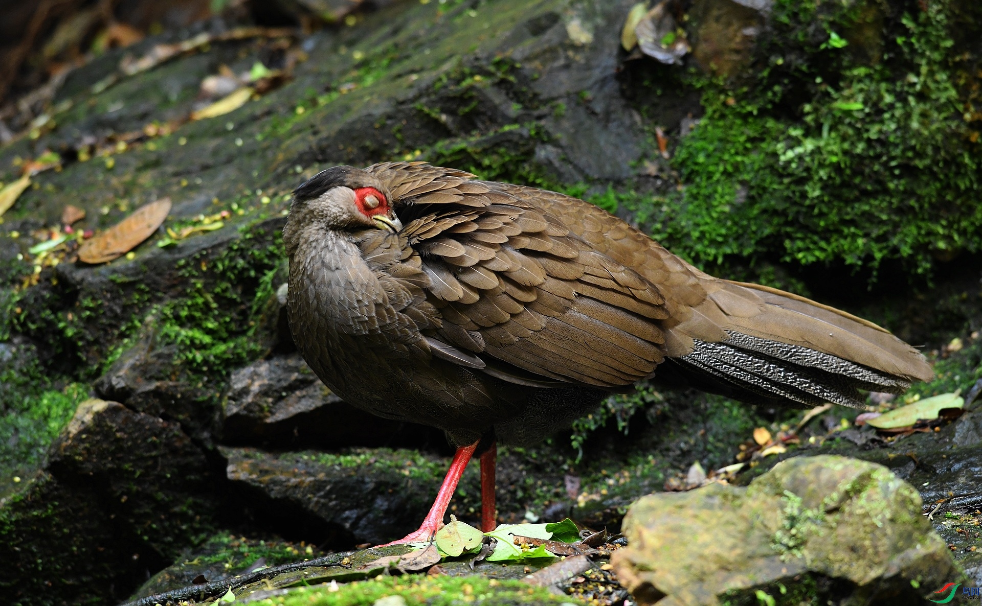DSC_5720.jpg