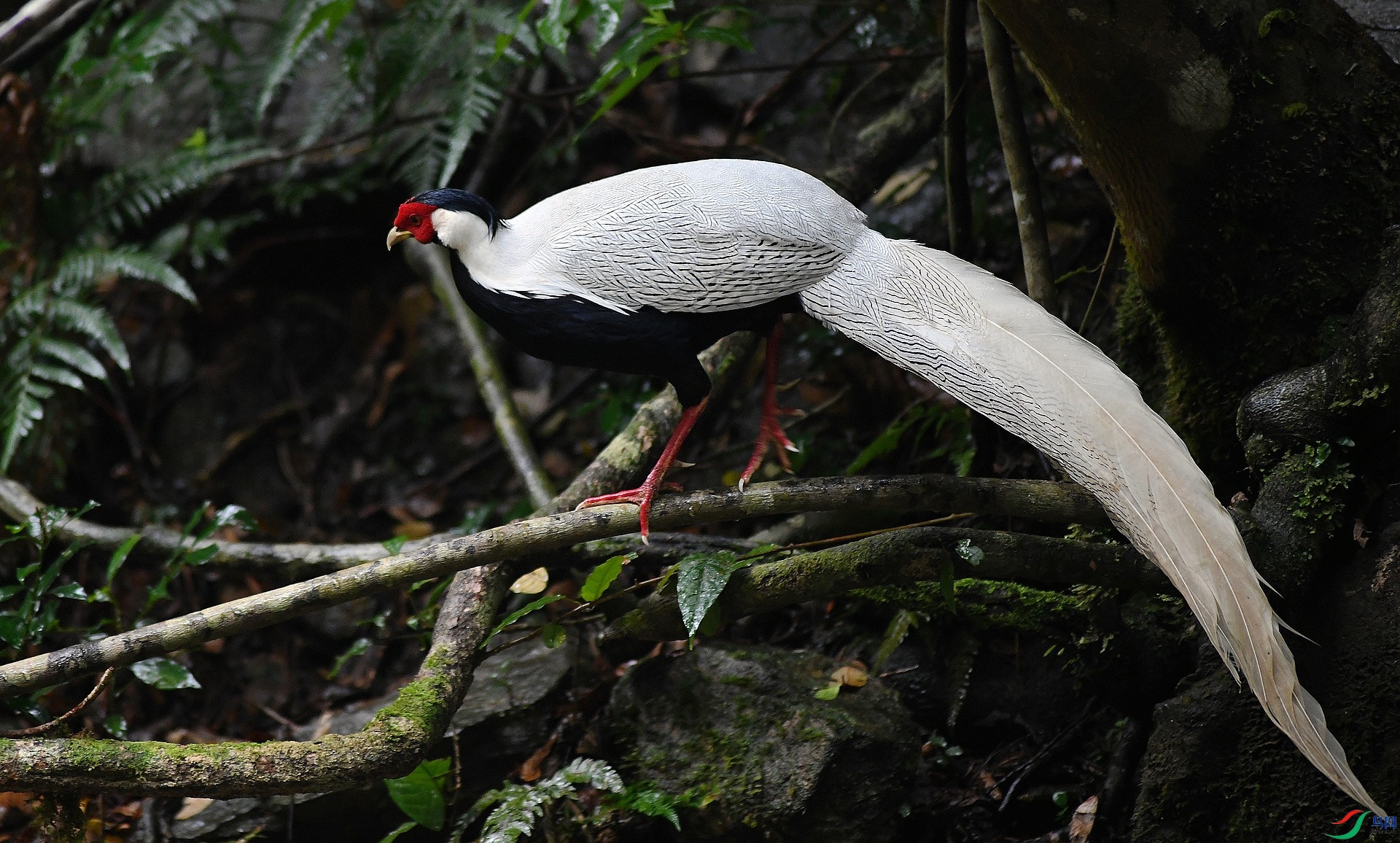 DSC_8570.jpg