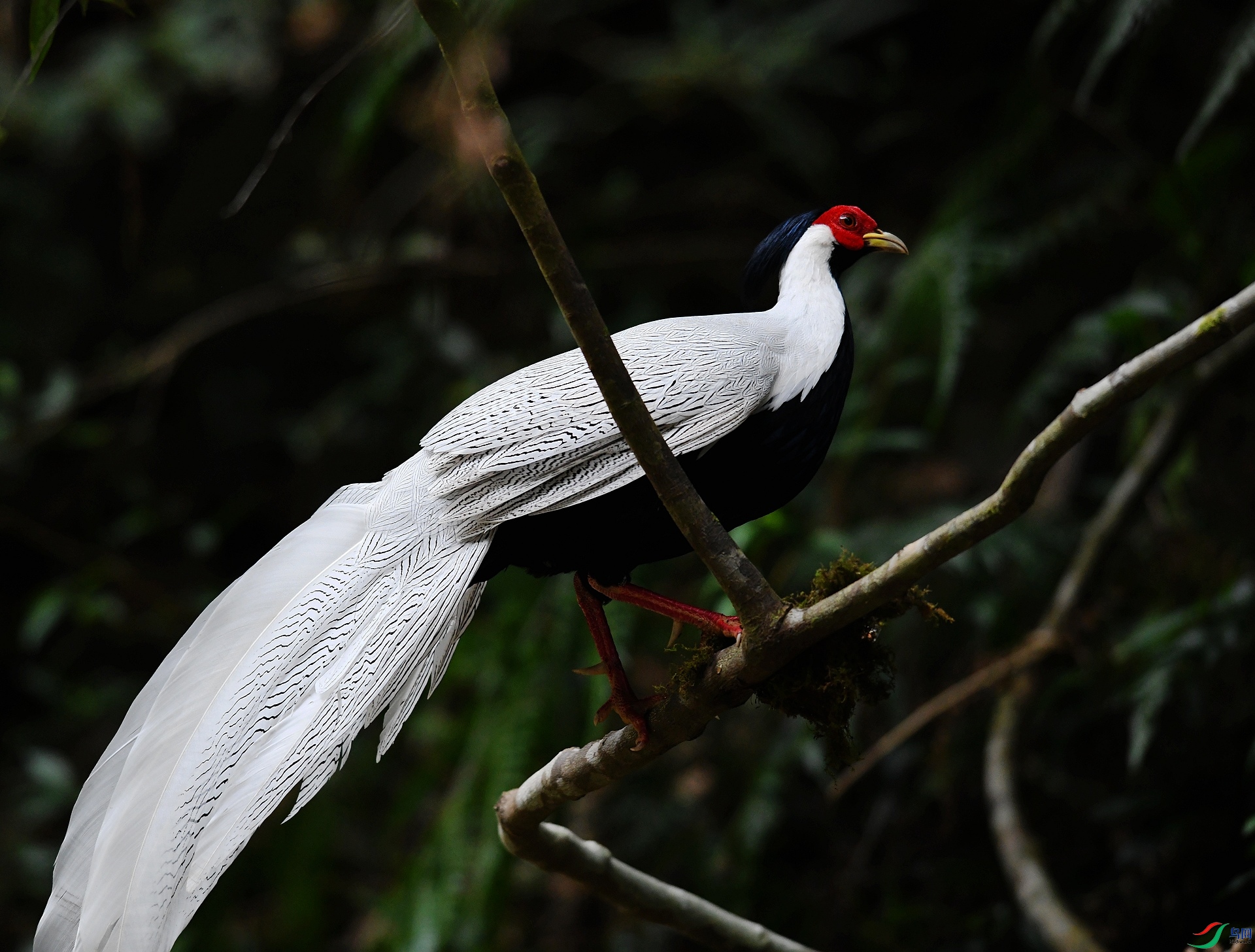 DSC_9064.jpg