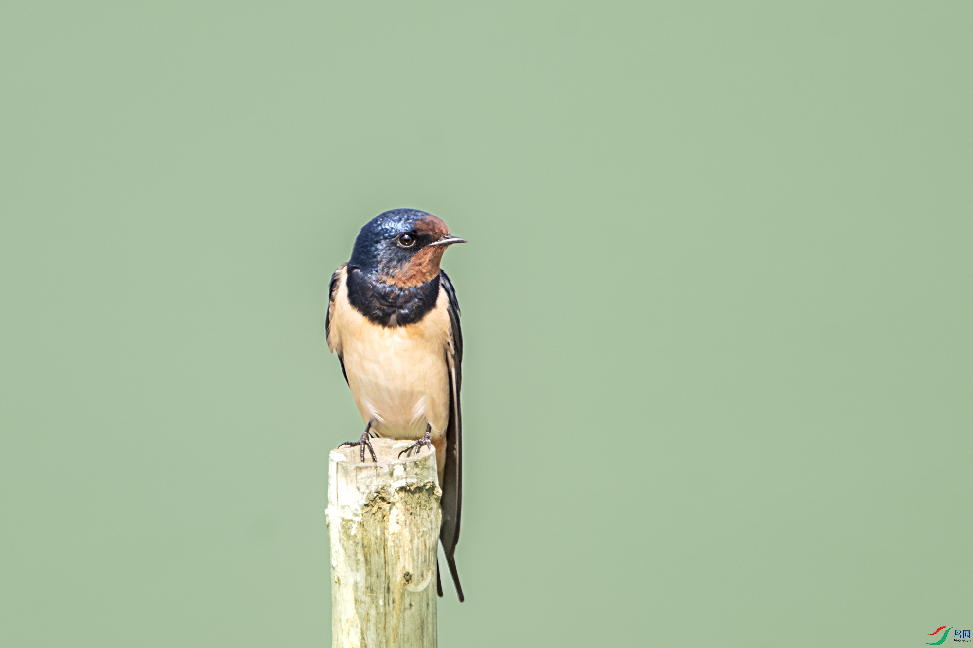 DSC_5494.jpg
