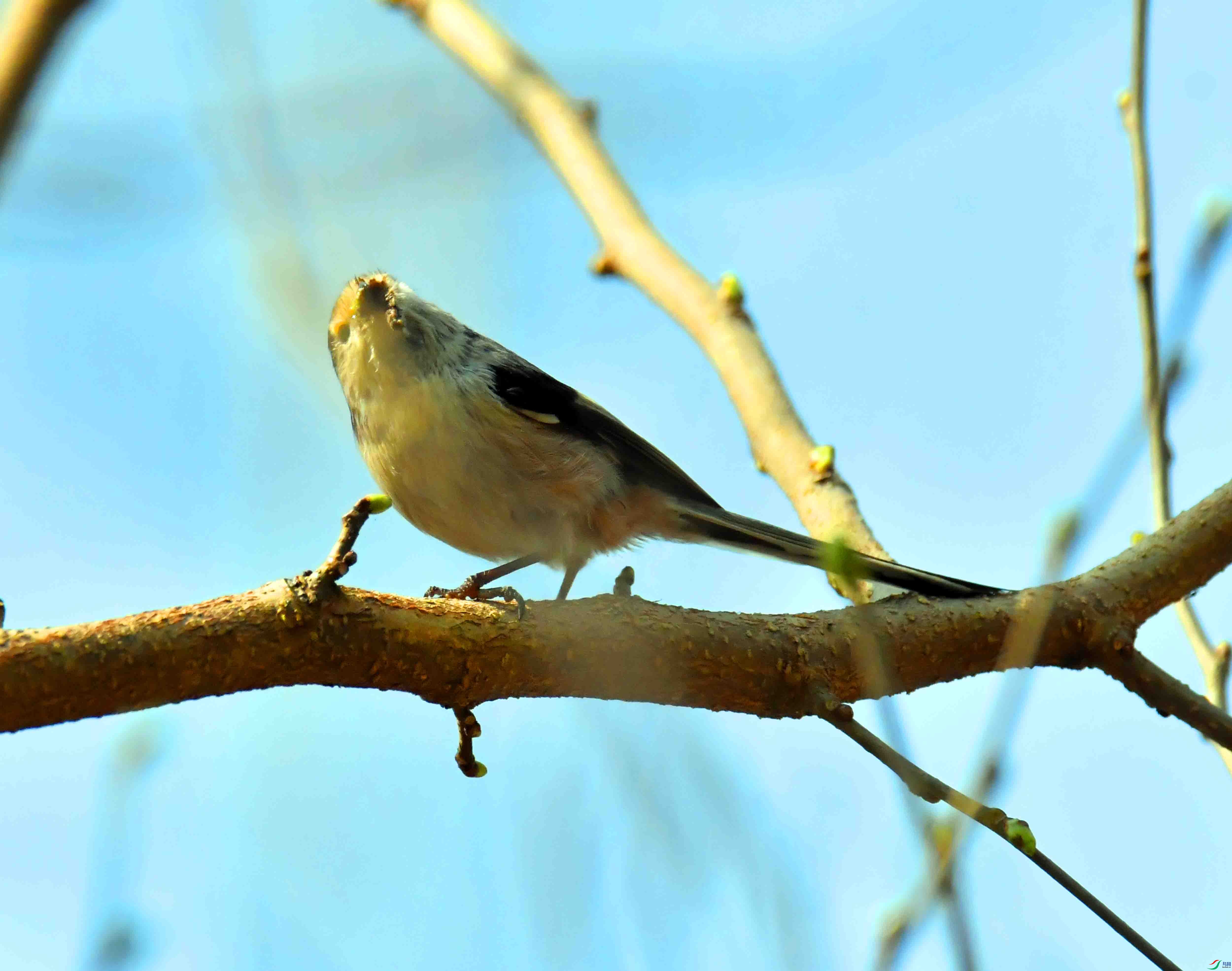 DSC_1367.JPG