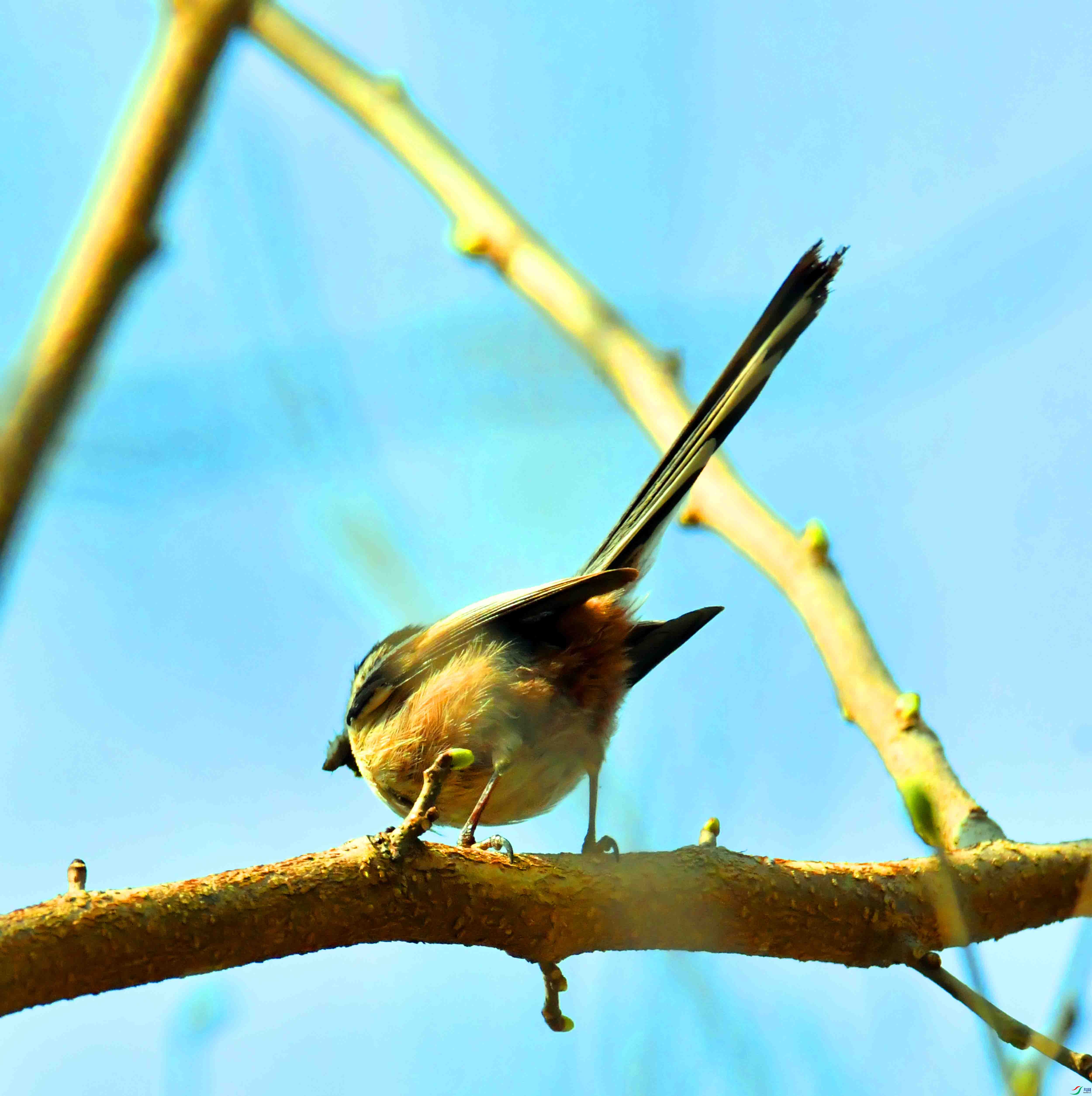 DSC_1380.JPG