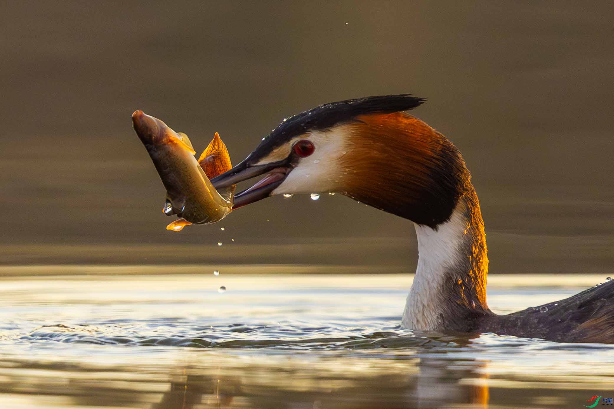 _L4A4102 ����.jpg