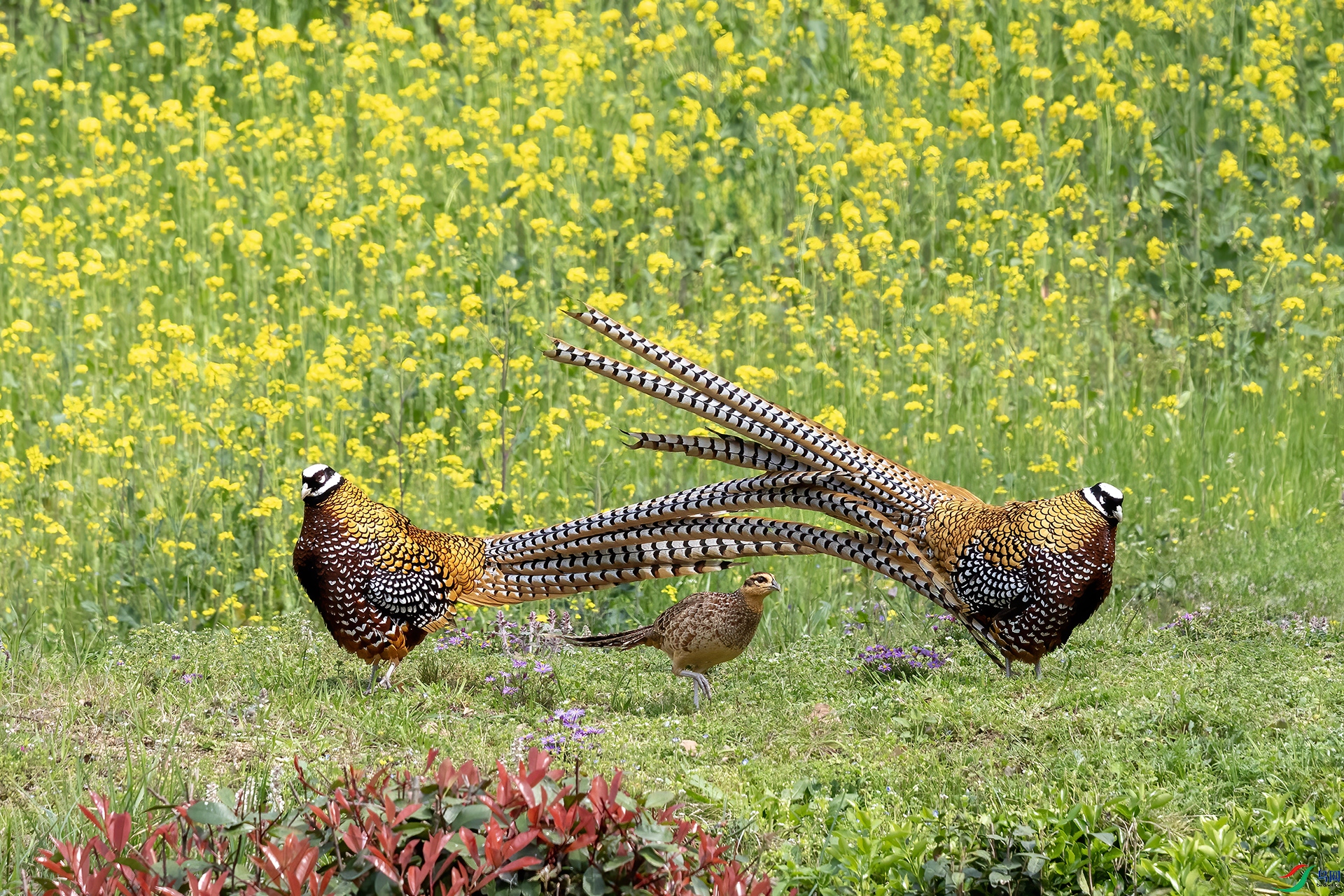 IMG_2849 ����.jpg