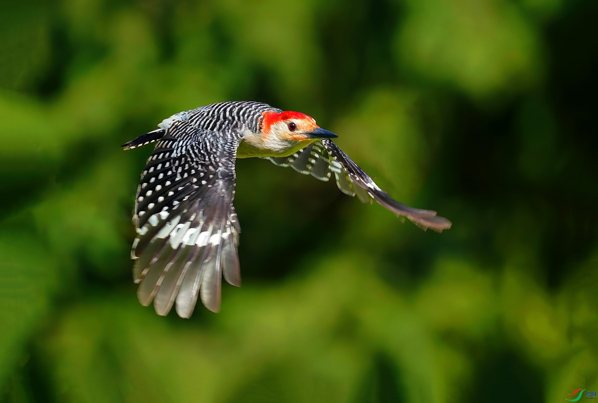 DSC03529--.jpg