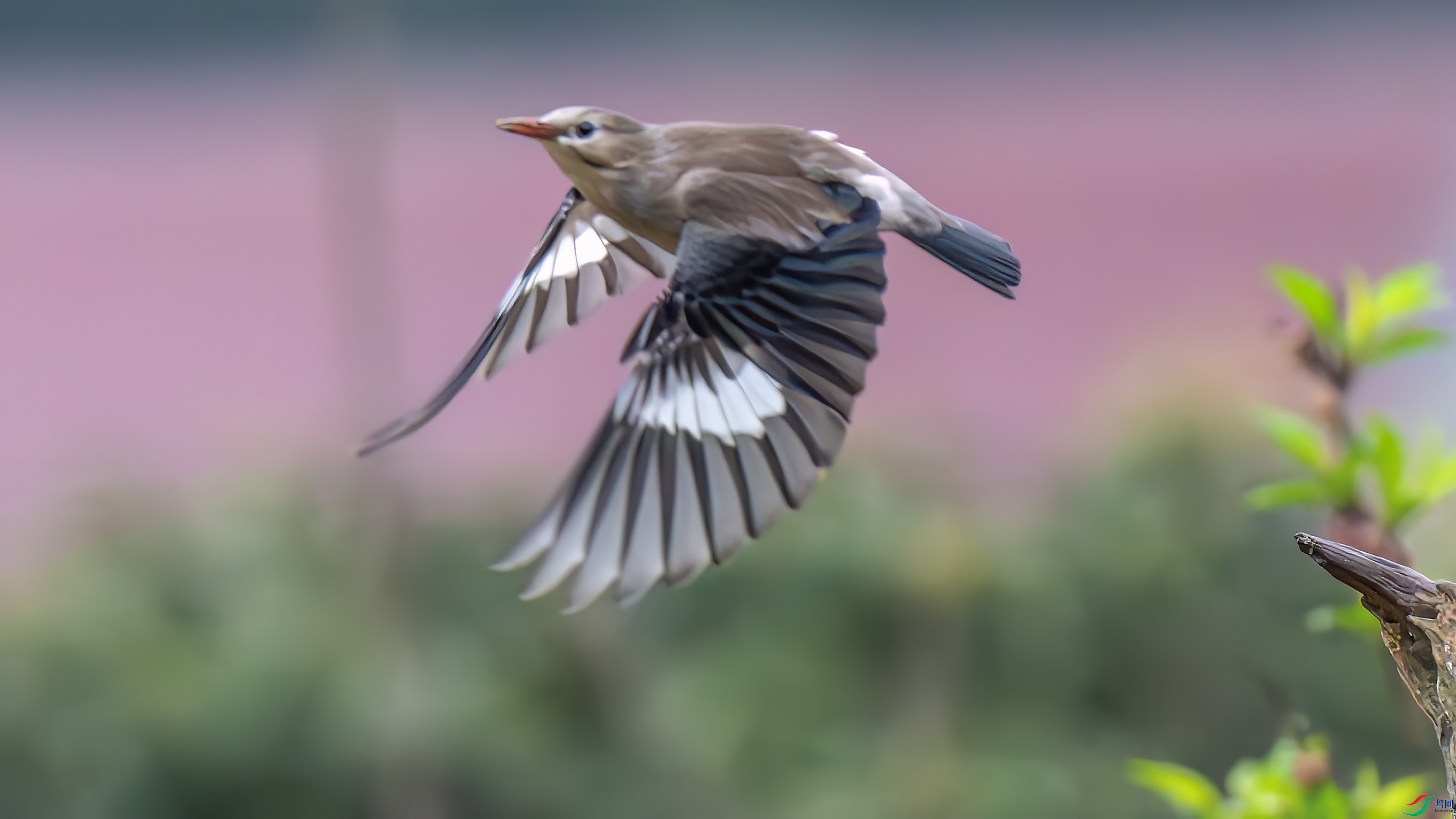 DSC_0751.jpg