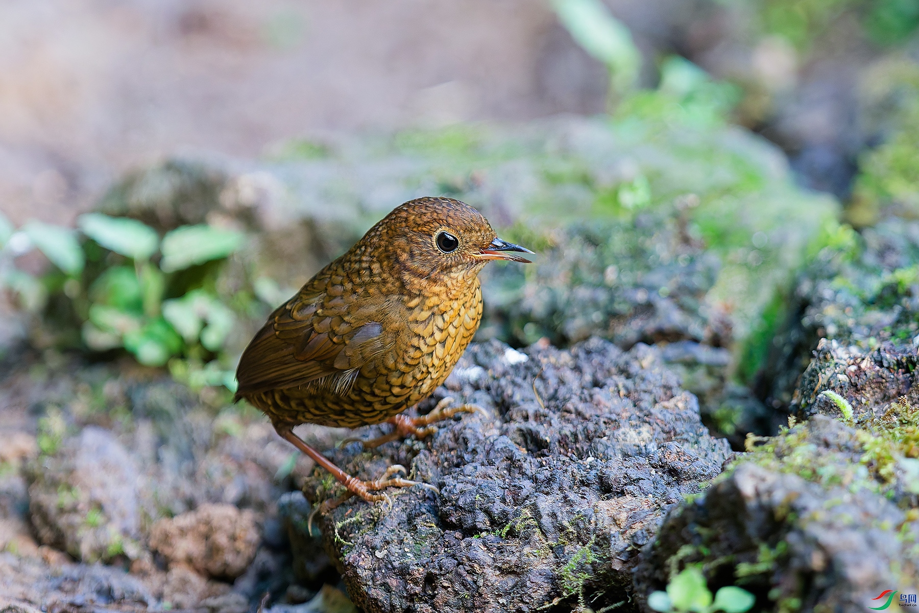 4DSC_6985_DxO_DxOa.jpg