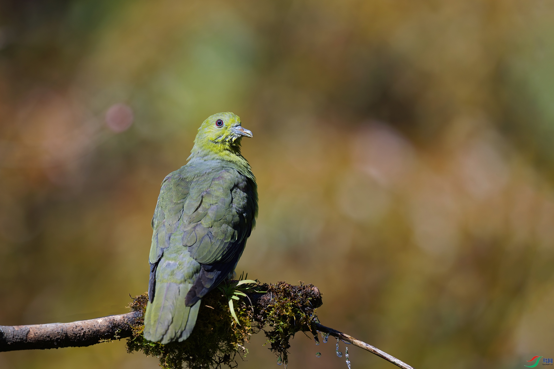3DSC_6387_DxO_DxOa.jpg