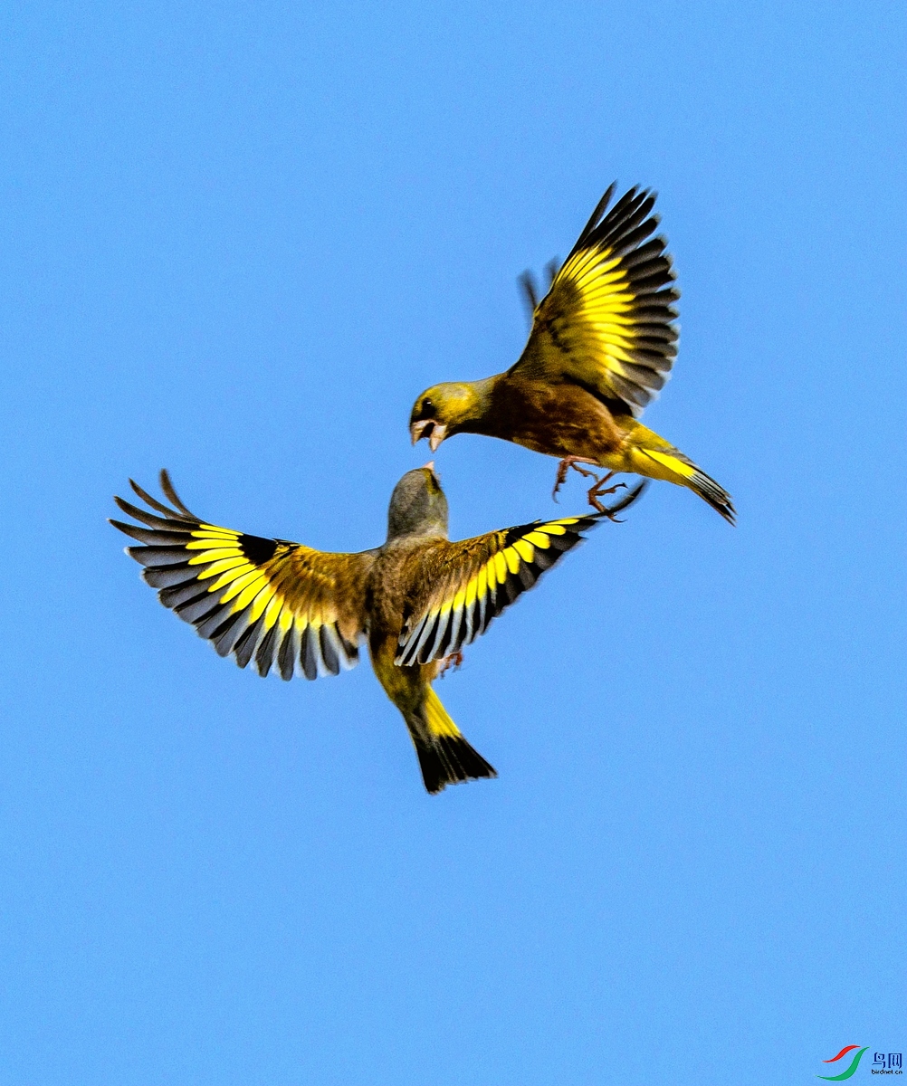 _H6A2121-����ǿ ����_����.jpg