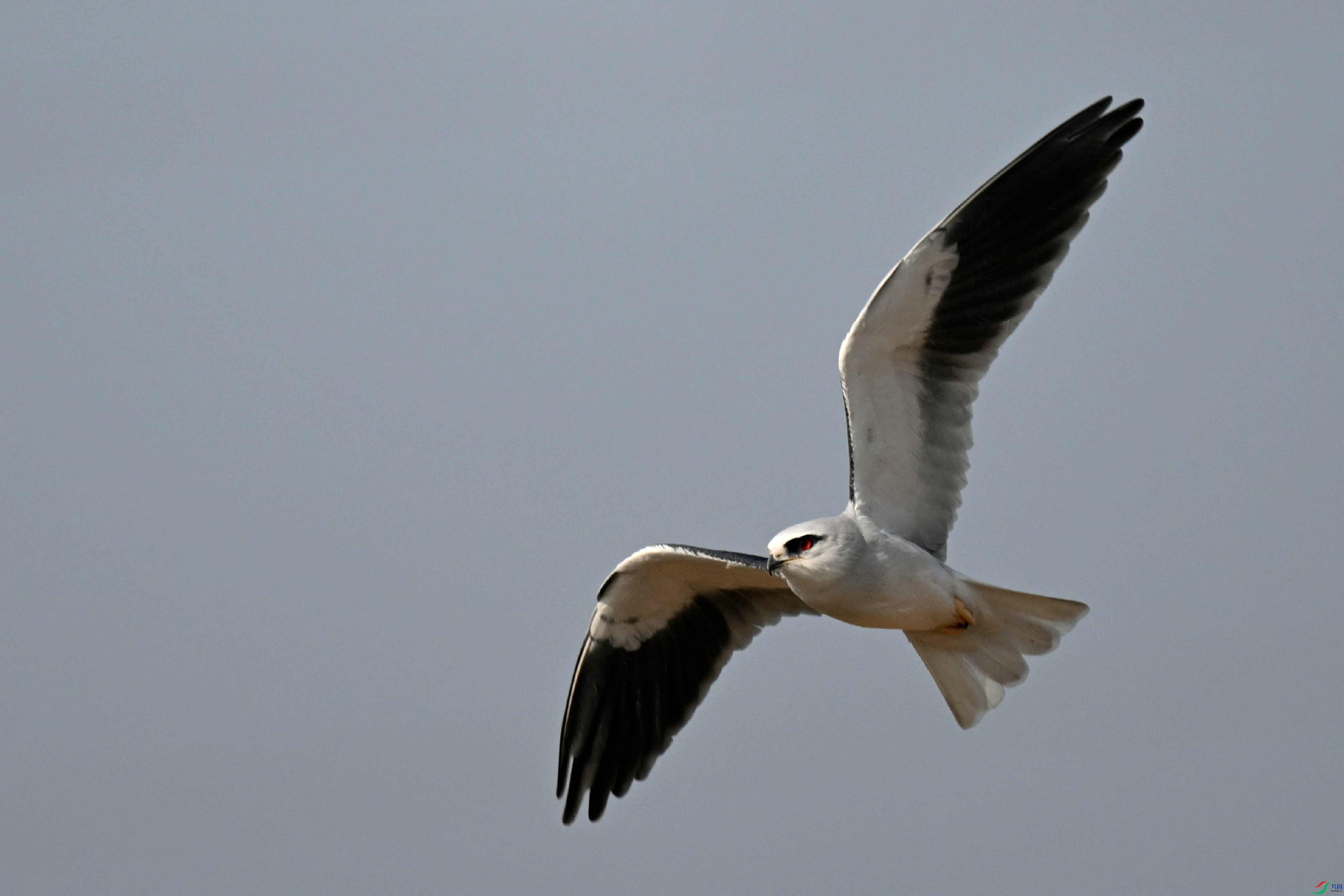 DSC_0645.jpg