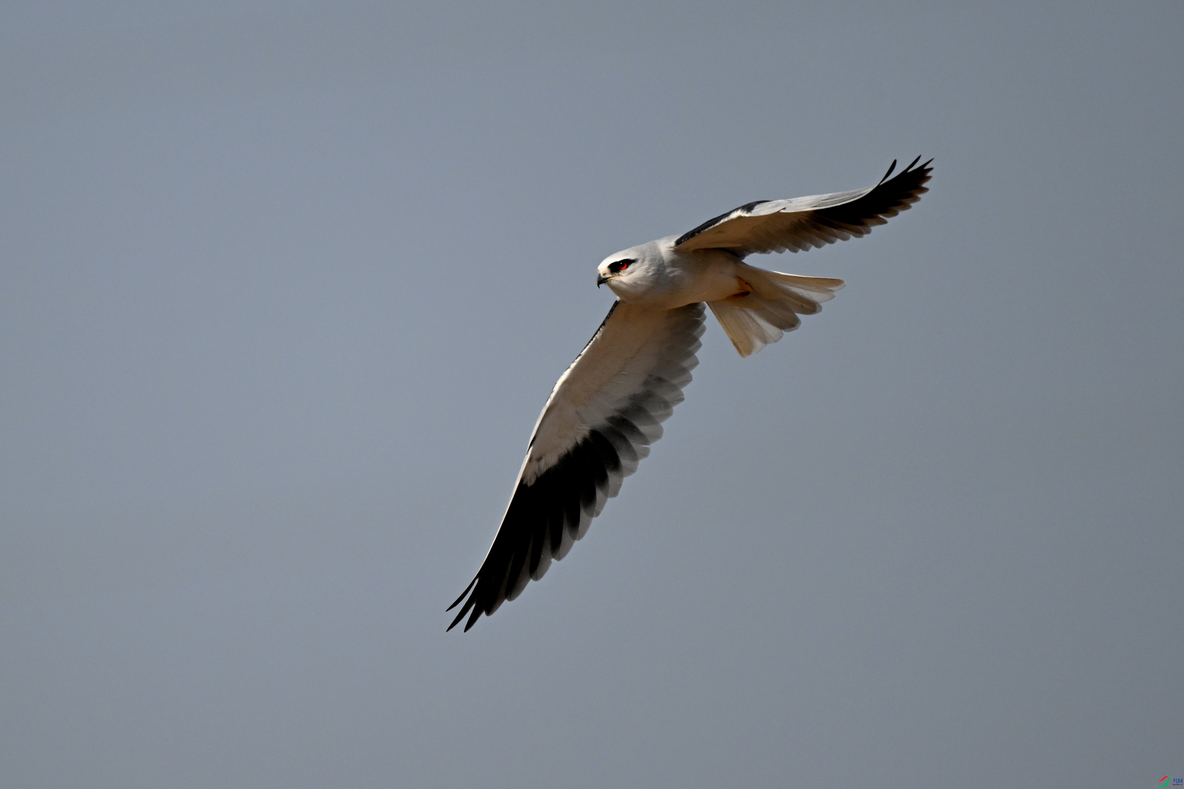 DSC_0648.jpg