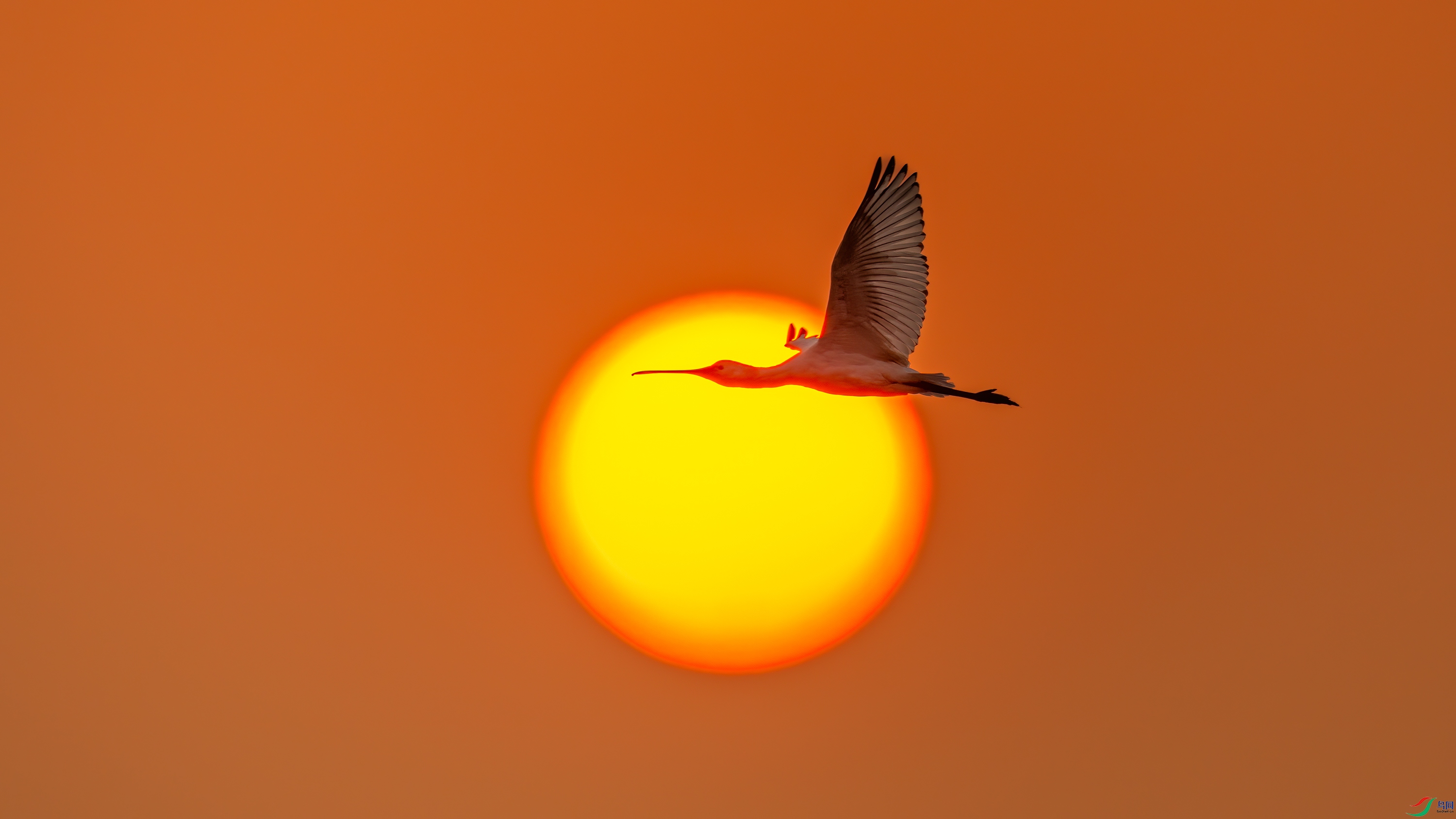 0C3A7575.jpg