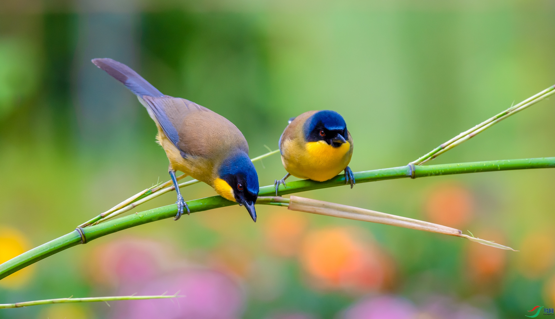 �ƺ����� 1- ���� 1.jpg