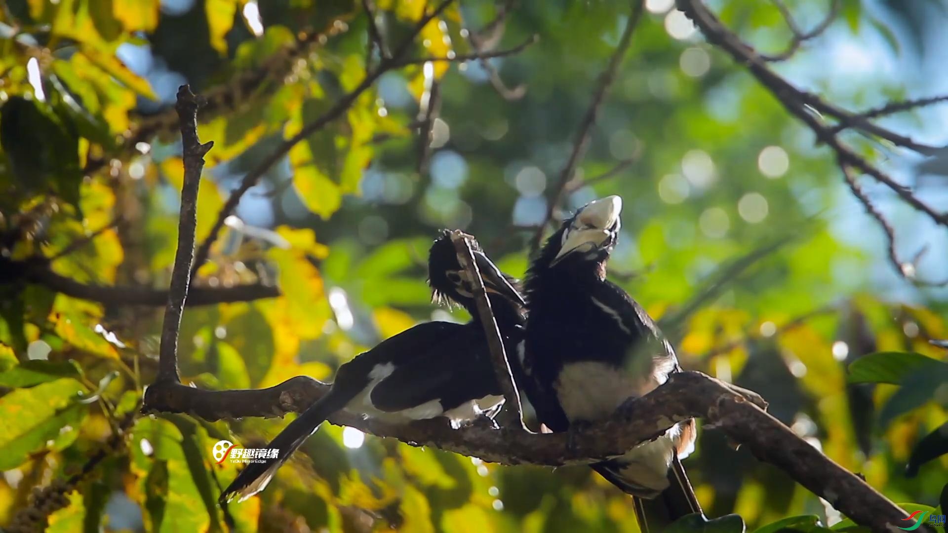 Ϭ��