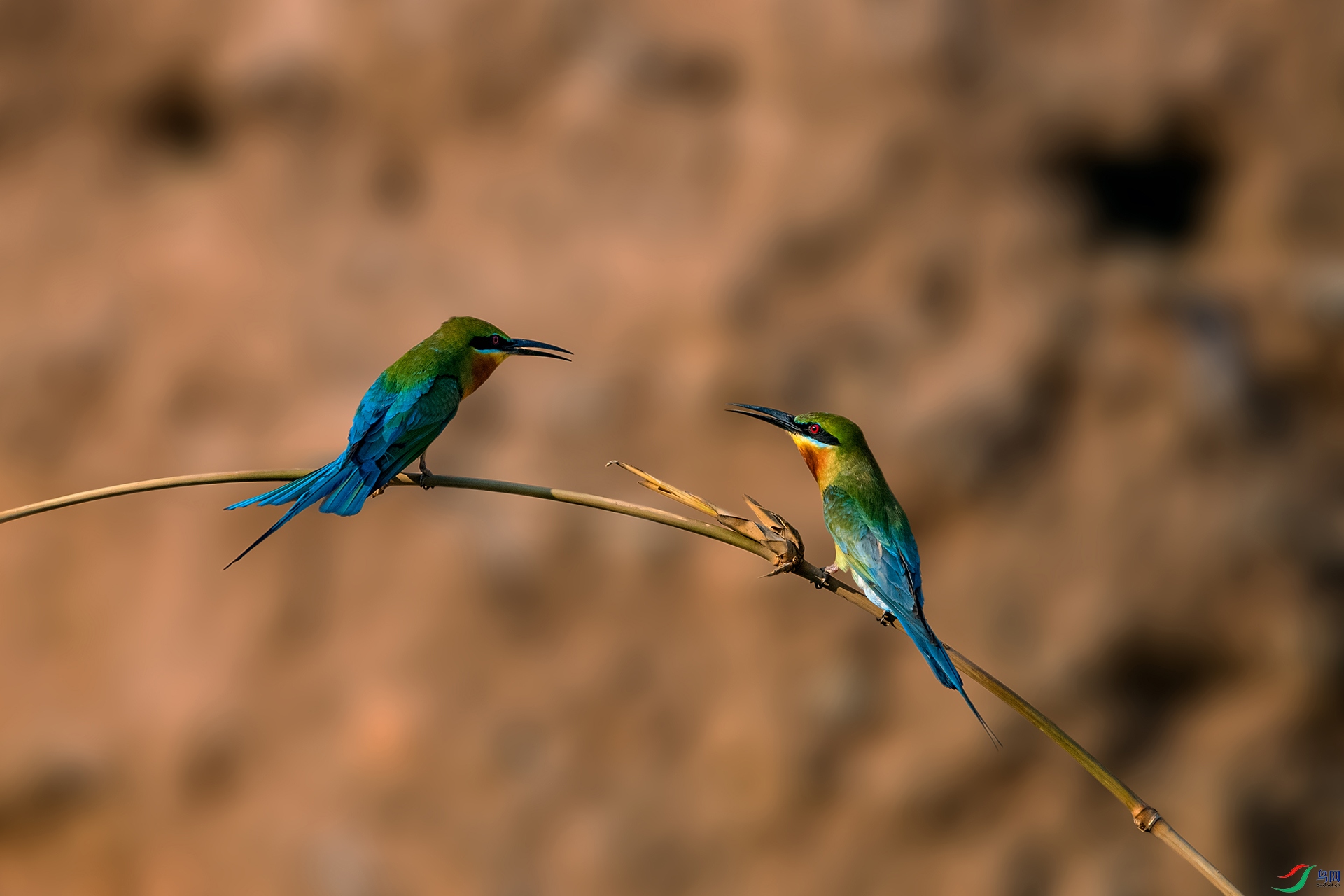 _AUU3807 �Ի�(25.5.10).jpg