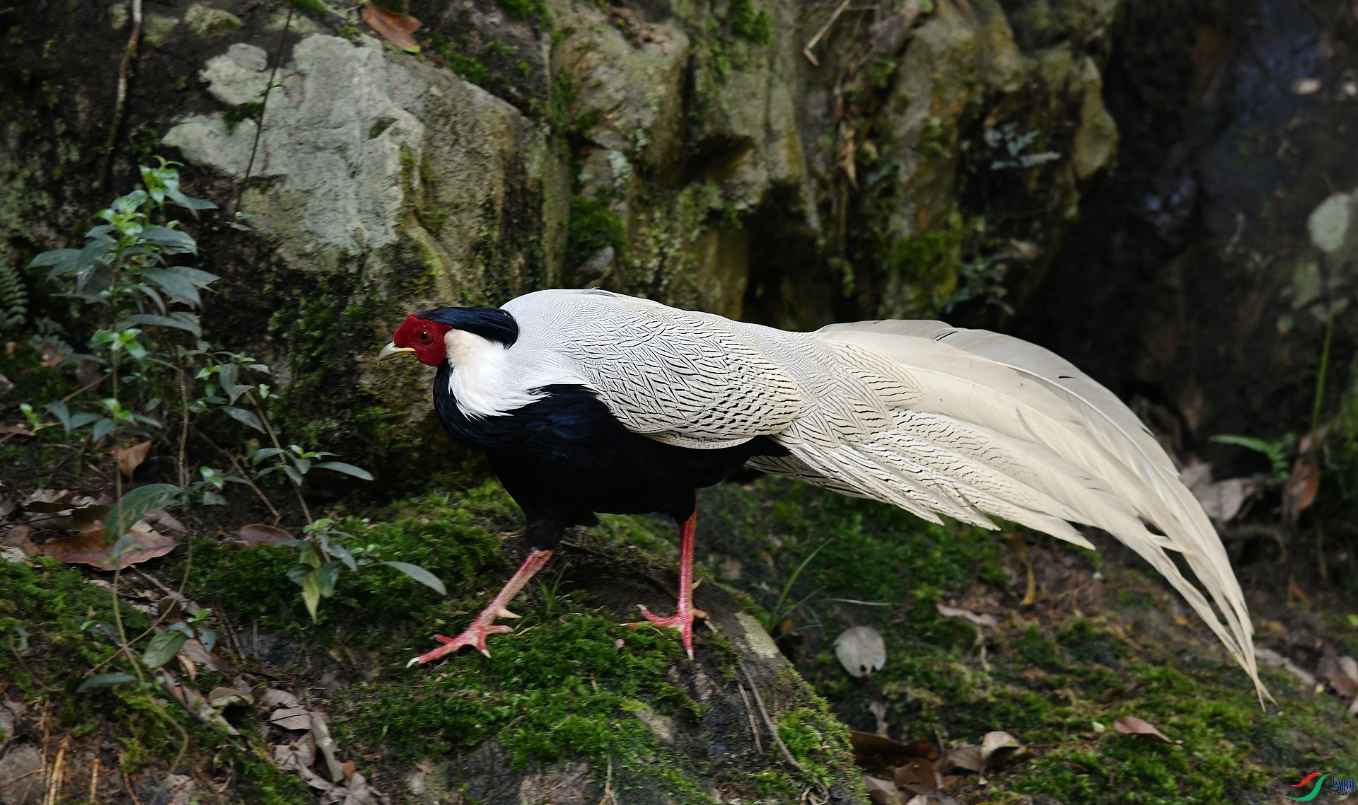 DSC_2282.jpg
