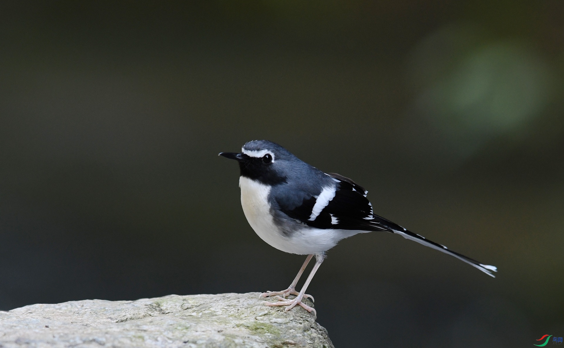 DSC_2068.jpg