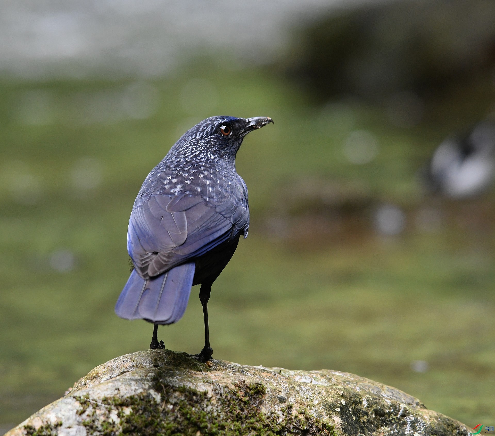 DSC_3203.jpg