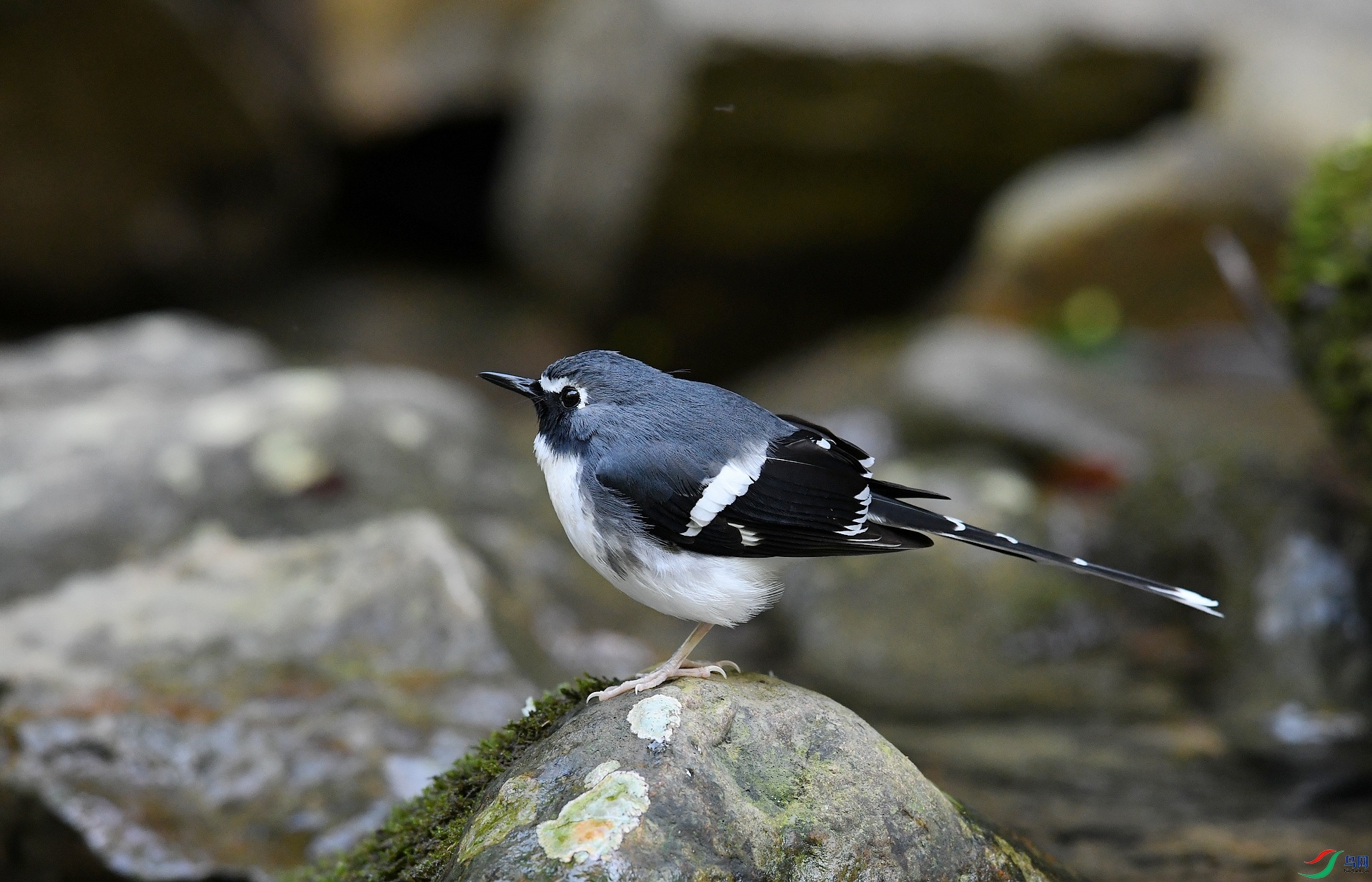 DSC_2067.jpg