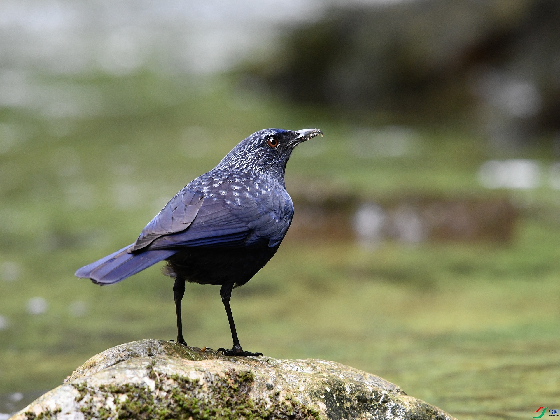 DSC_3217.jpg