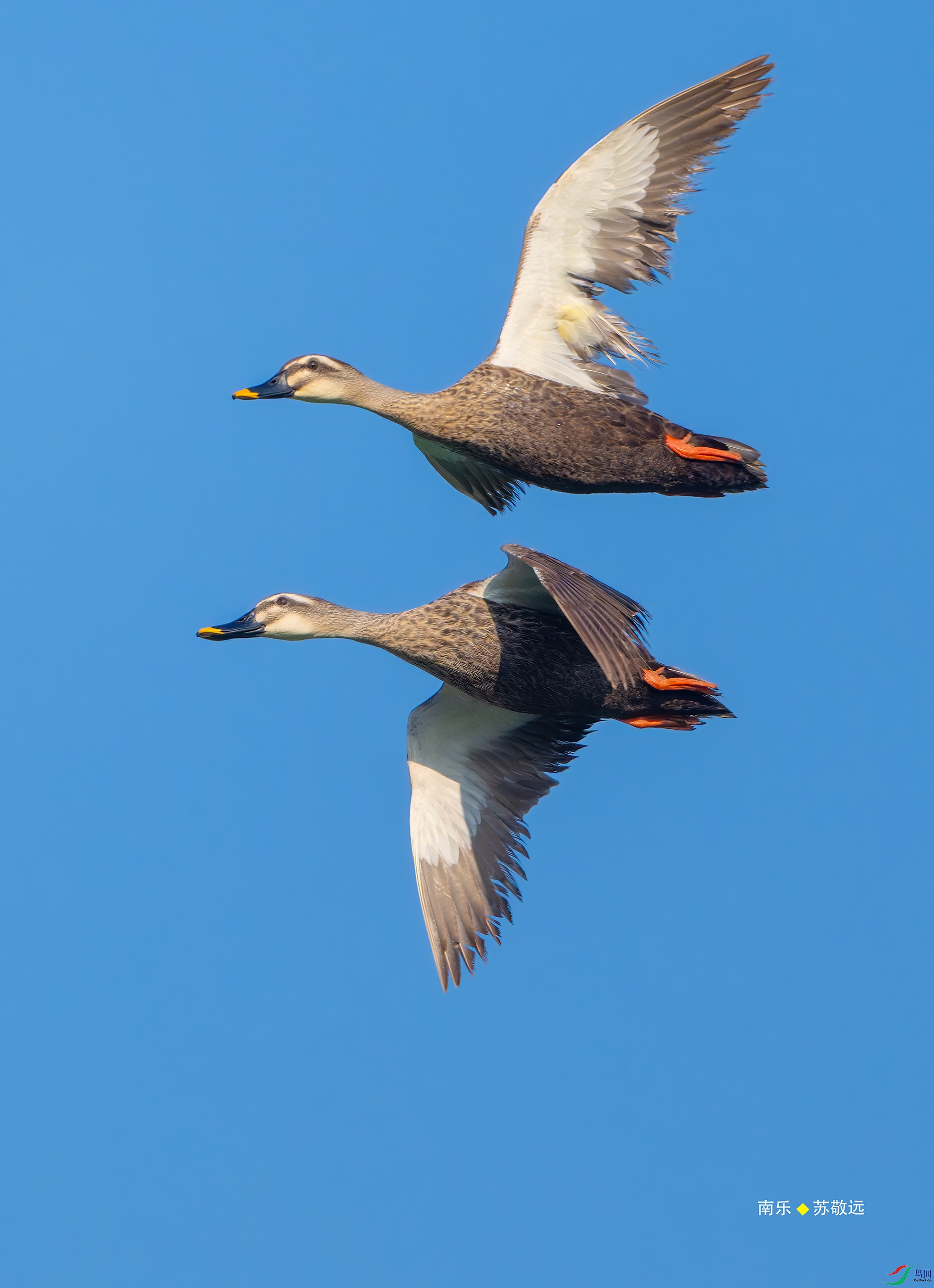 _DSC6163-DxO_С.jpg