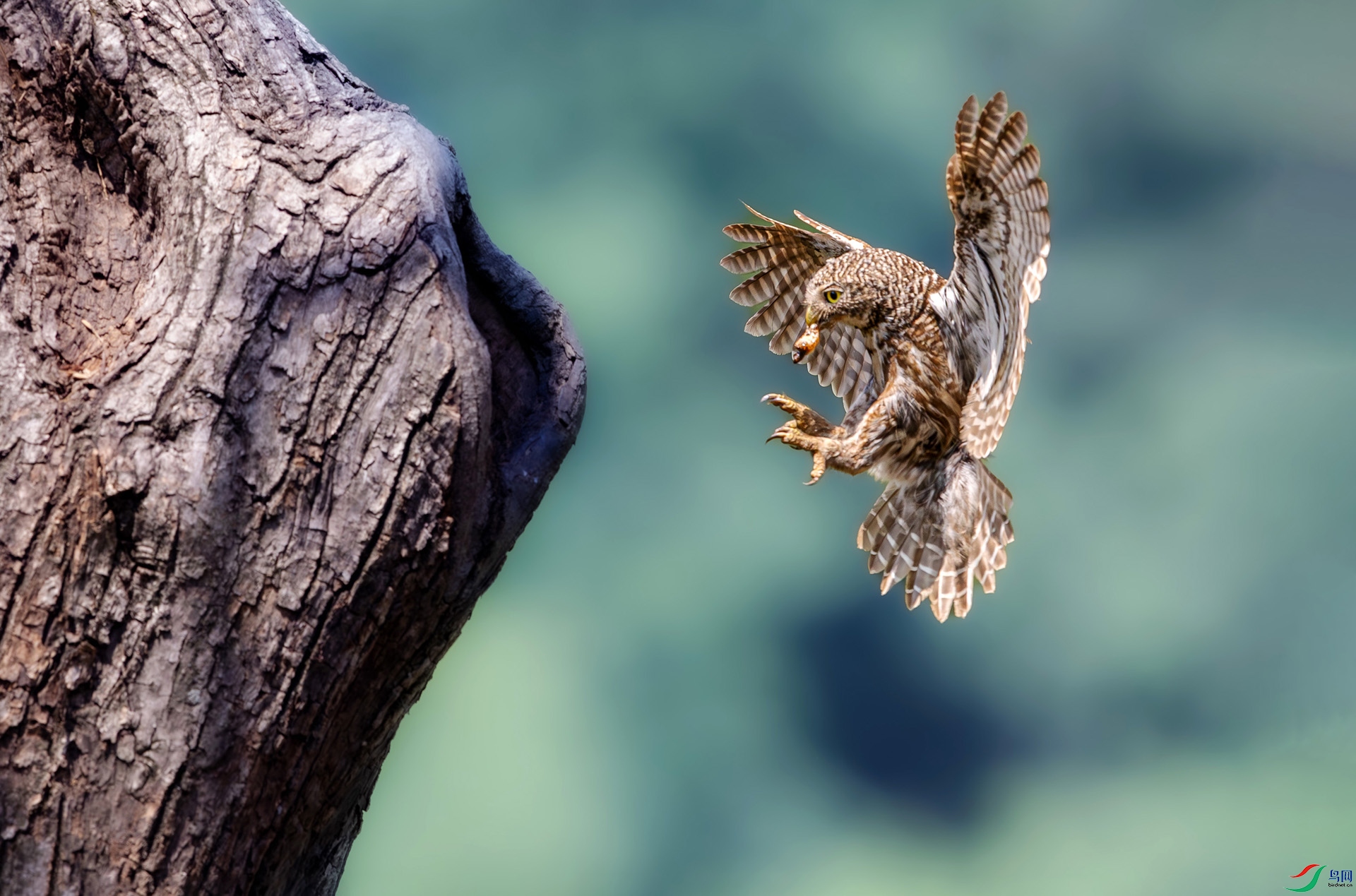 7812 ����.jpg