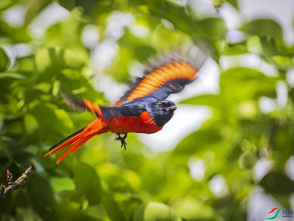 _B3A6761���ɽ����-�趯�ľ��� ����.jpg