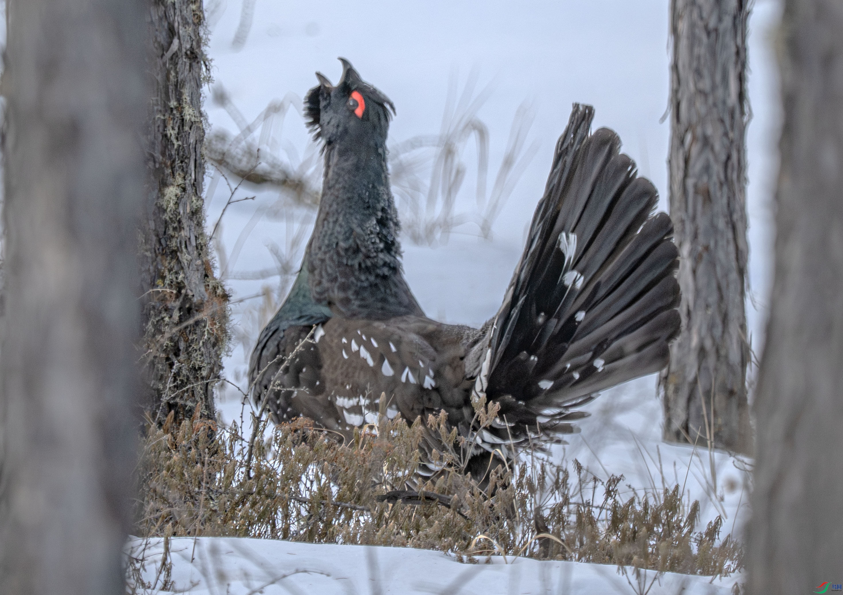 DSC_0478 ����.jpg