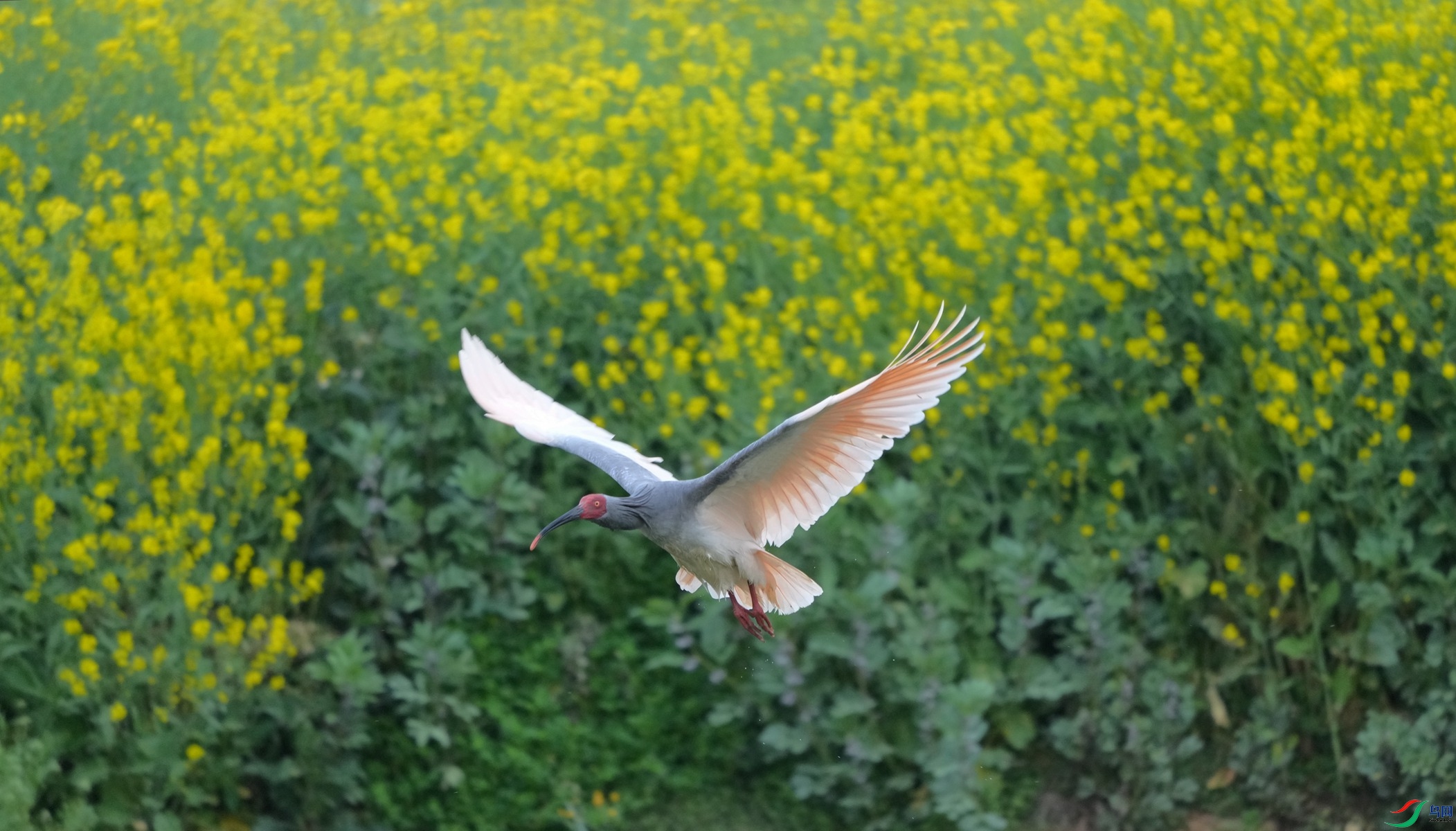DSC04446_����.jpg