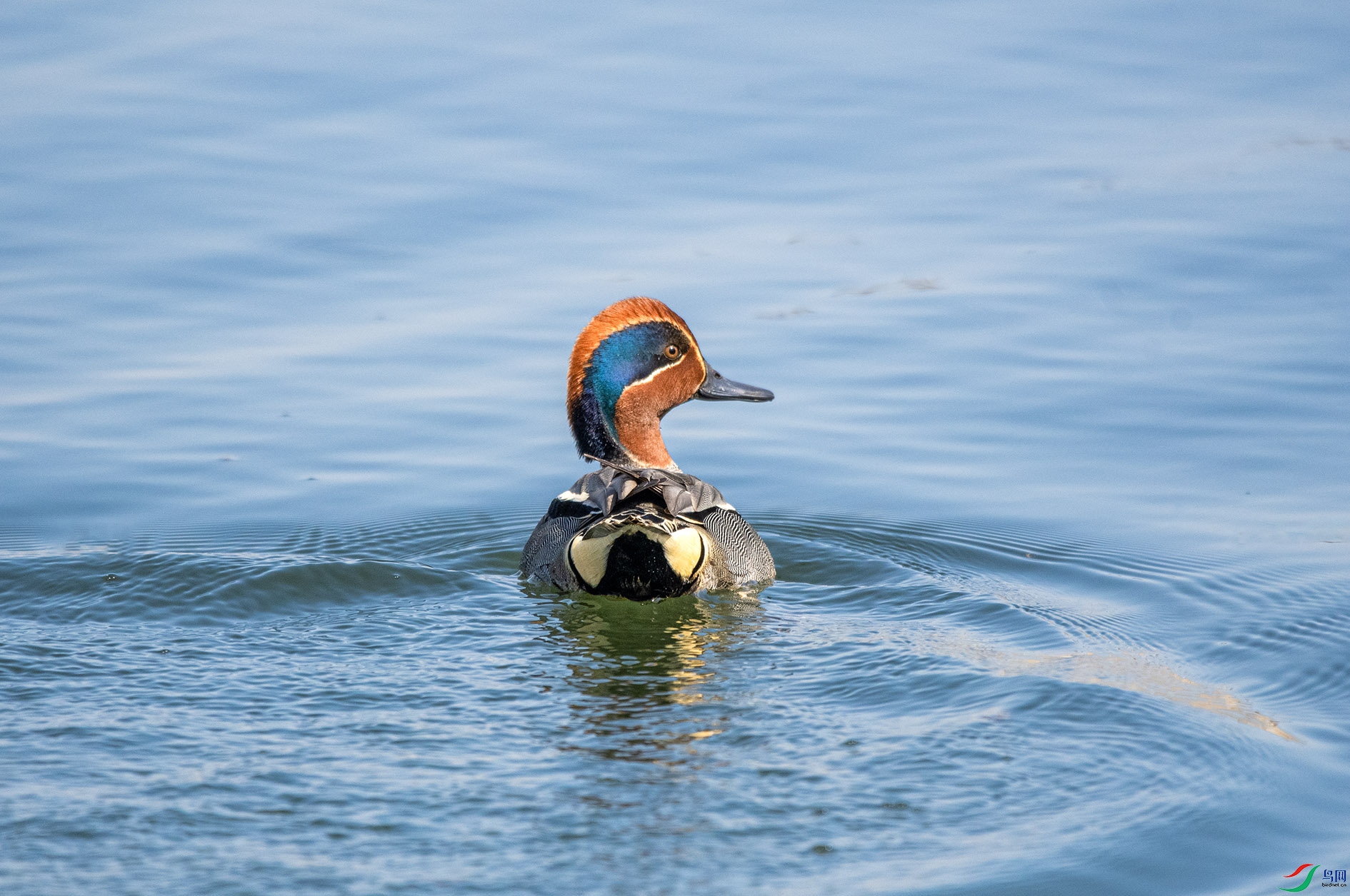 DSC_3045_��ͼ�� ����.jpg