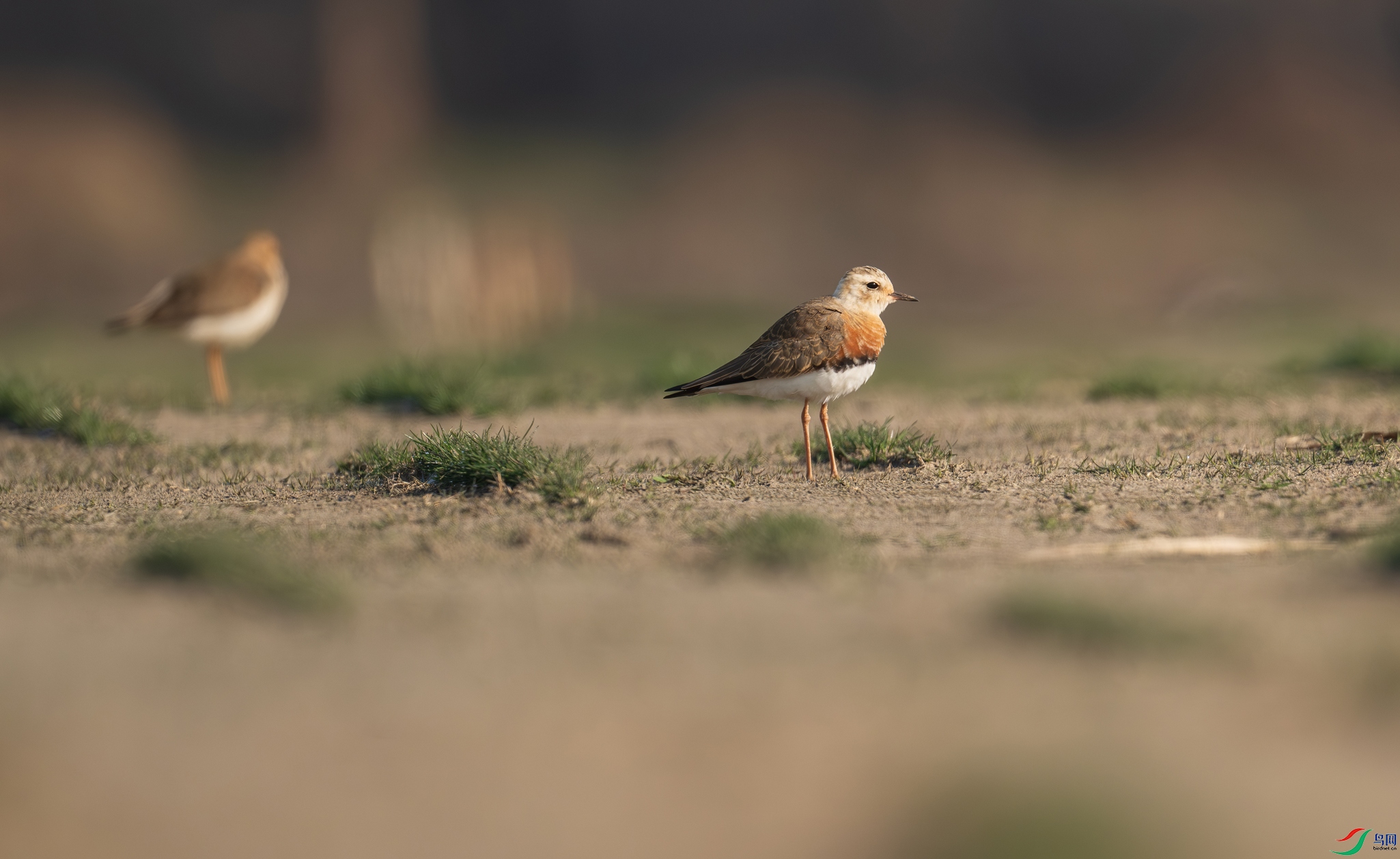 DSC_0284.jpg