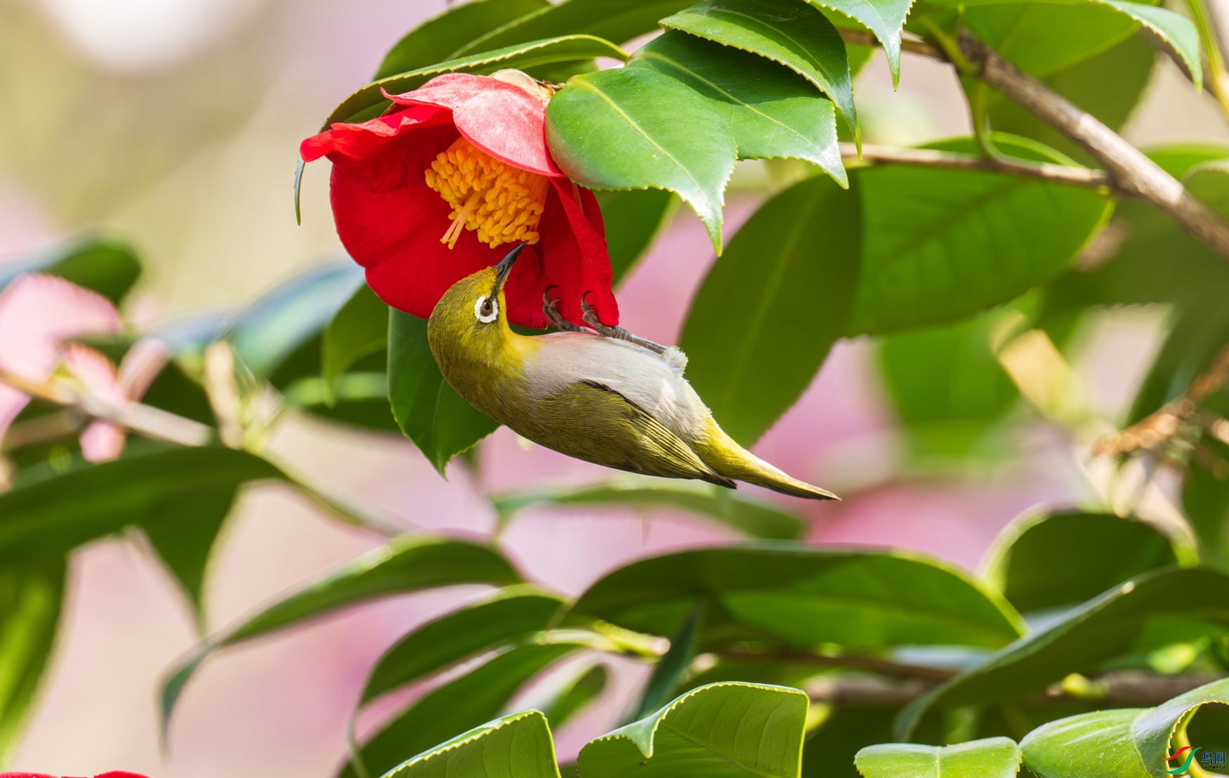 DSC_1151.jpg