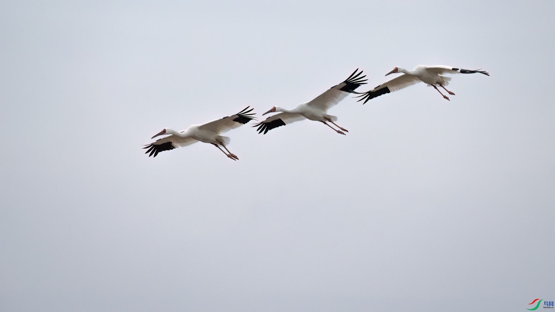 DSC_1040sen2026-2-27-127-�༭.jpg
