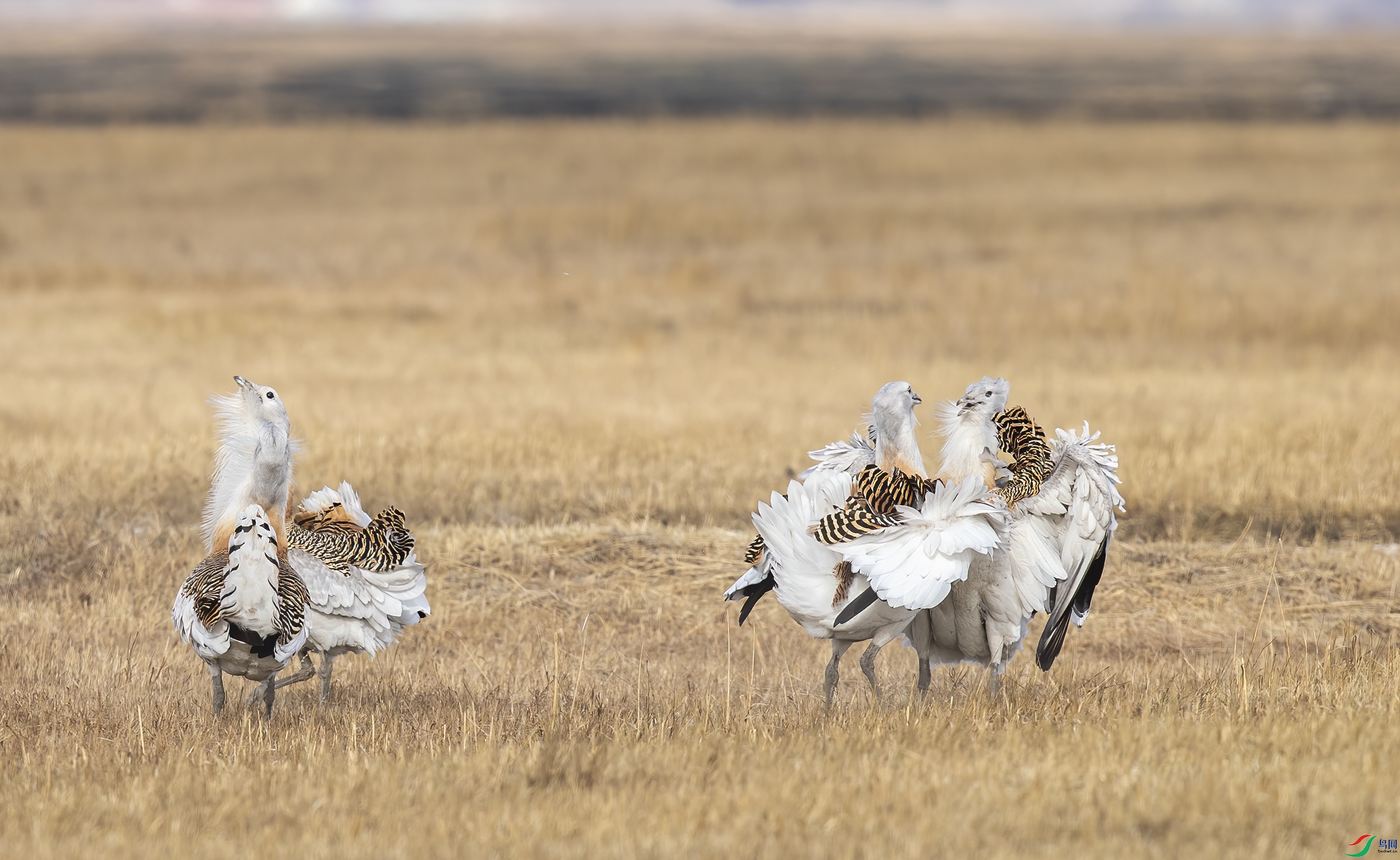 AC3I7051 ����.jpg