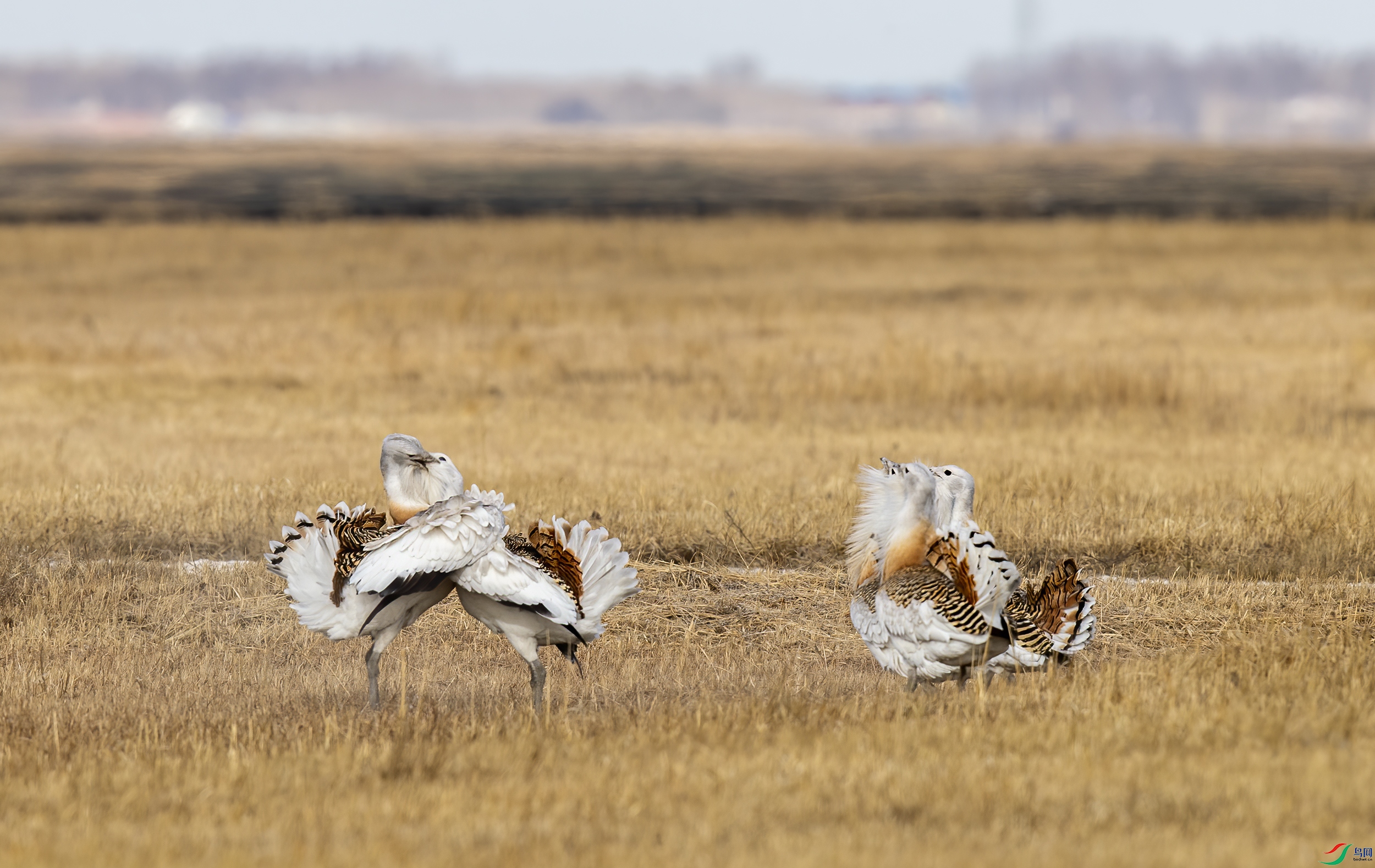 AC3I7018 ����.jpg