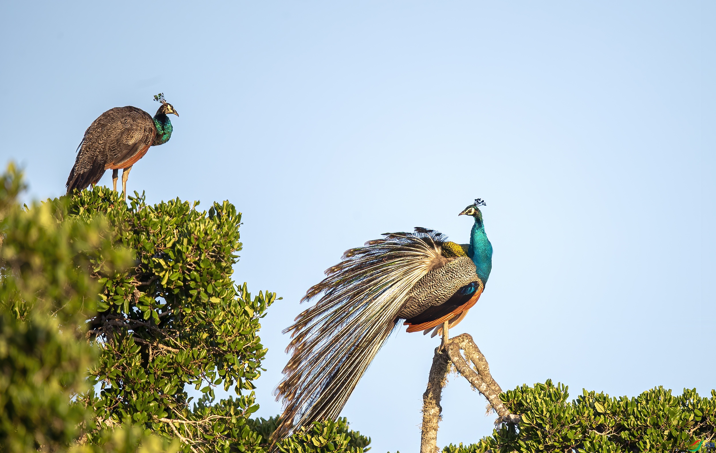 AC3I8384 ����.jpg