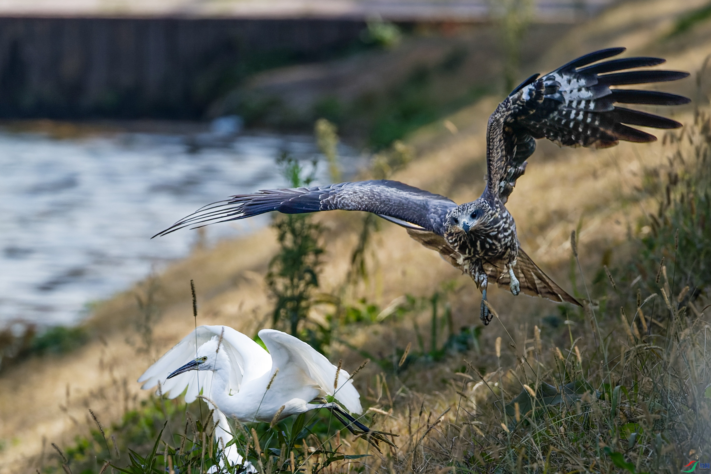 CC0V4164-CR2_DxO_DeepPRIME-1.jpg