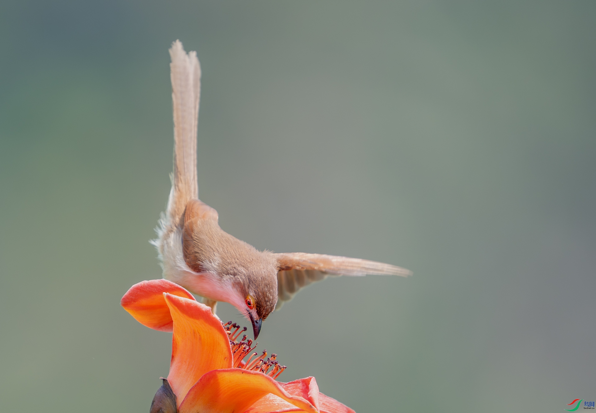DSC_0103-1.jpg