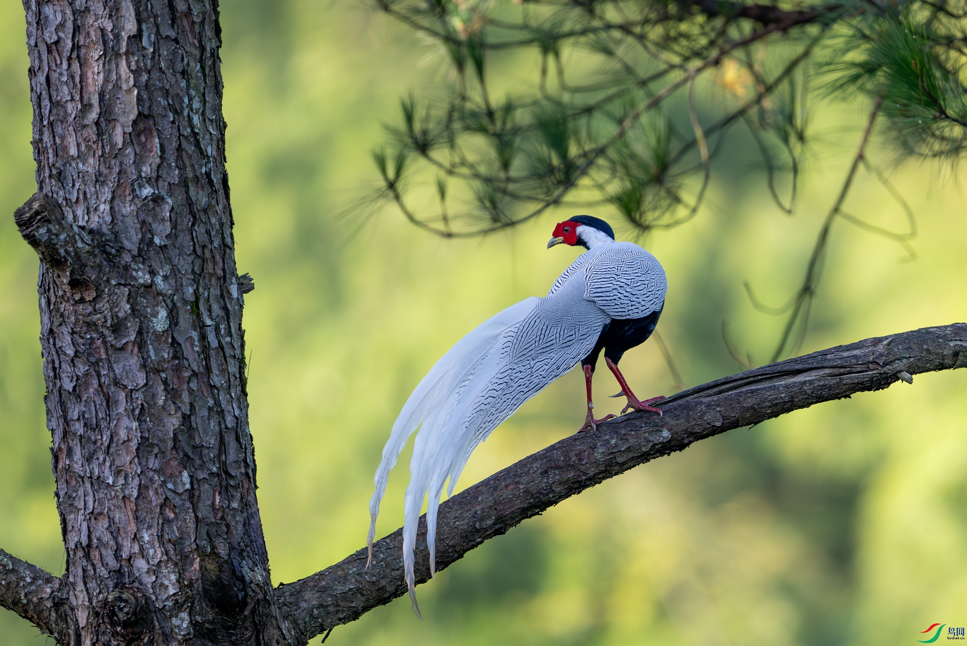 DSC_3822-1.jpg