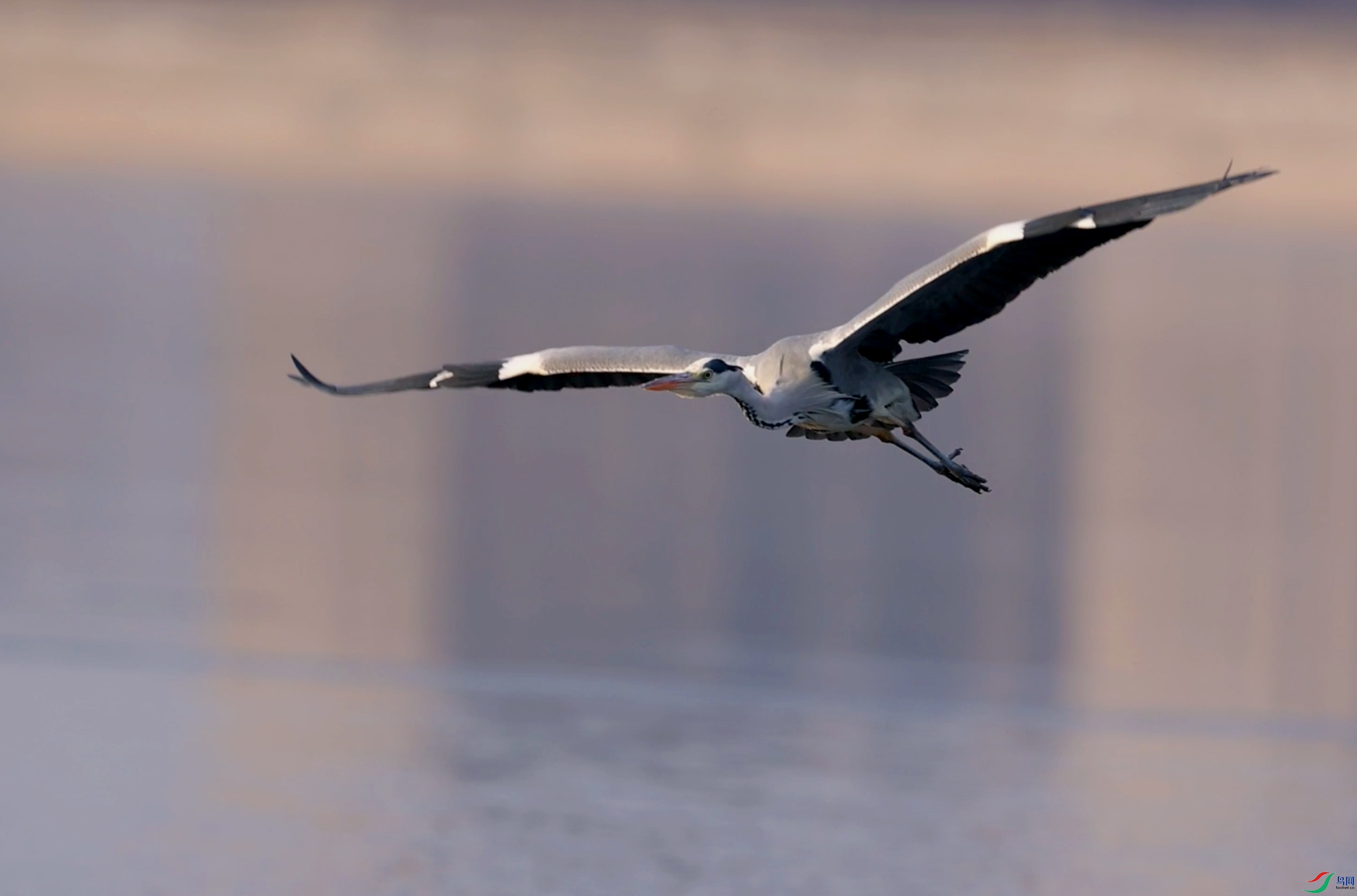 QQ20260413-213721--1.jpg