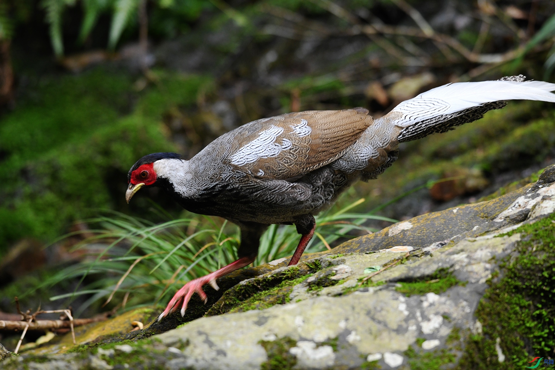 DSC_4062.jpg