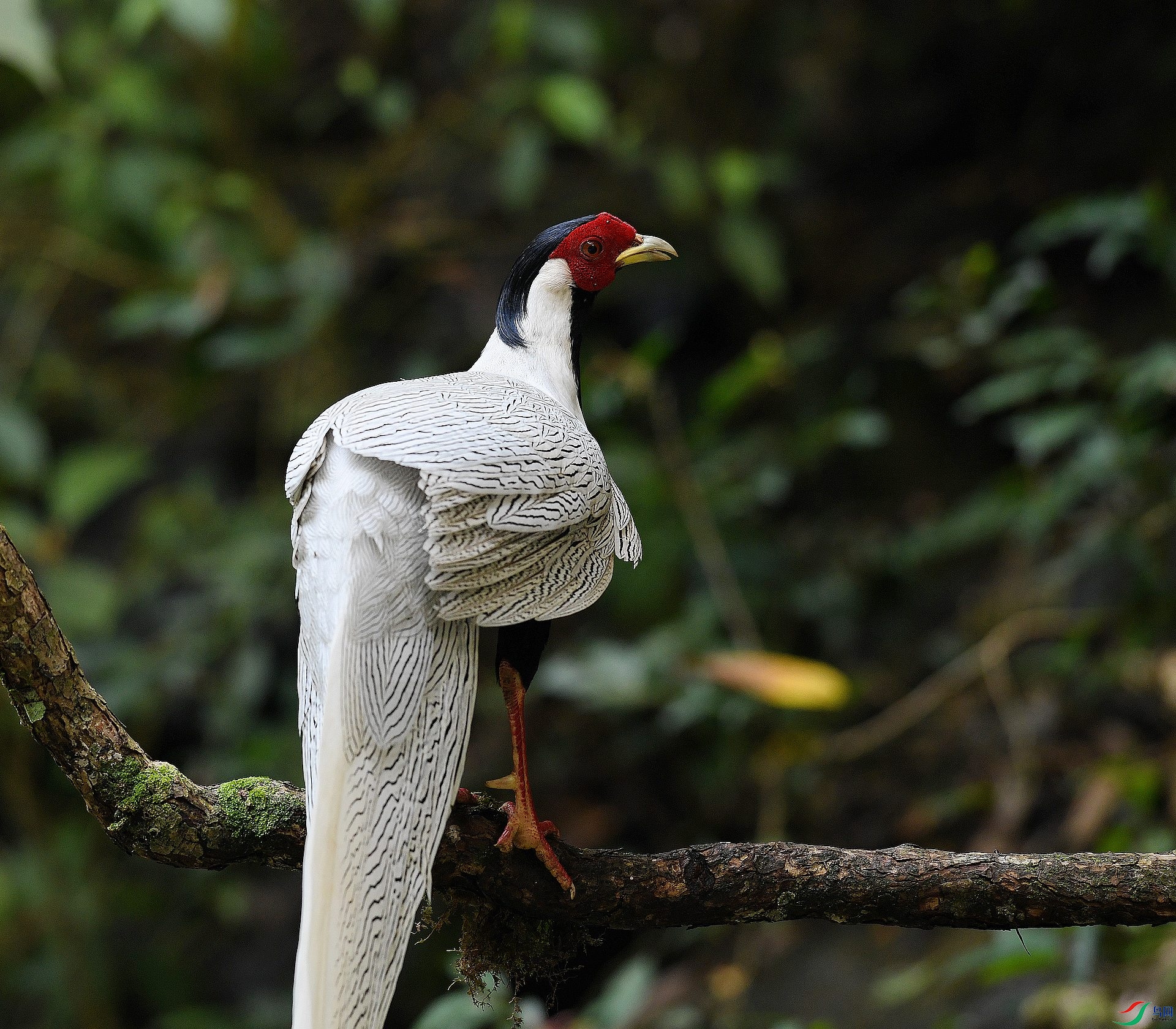 DSC_6472.jpg