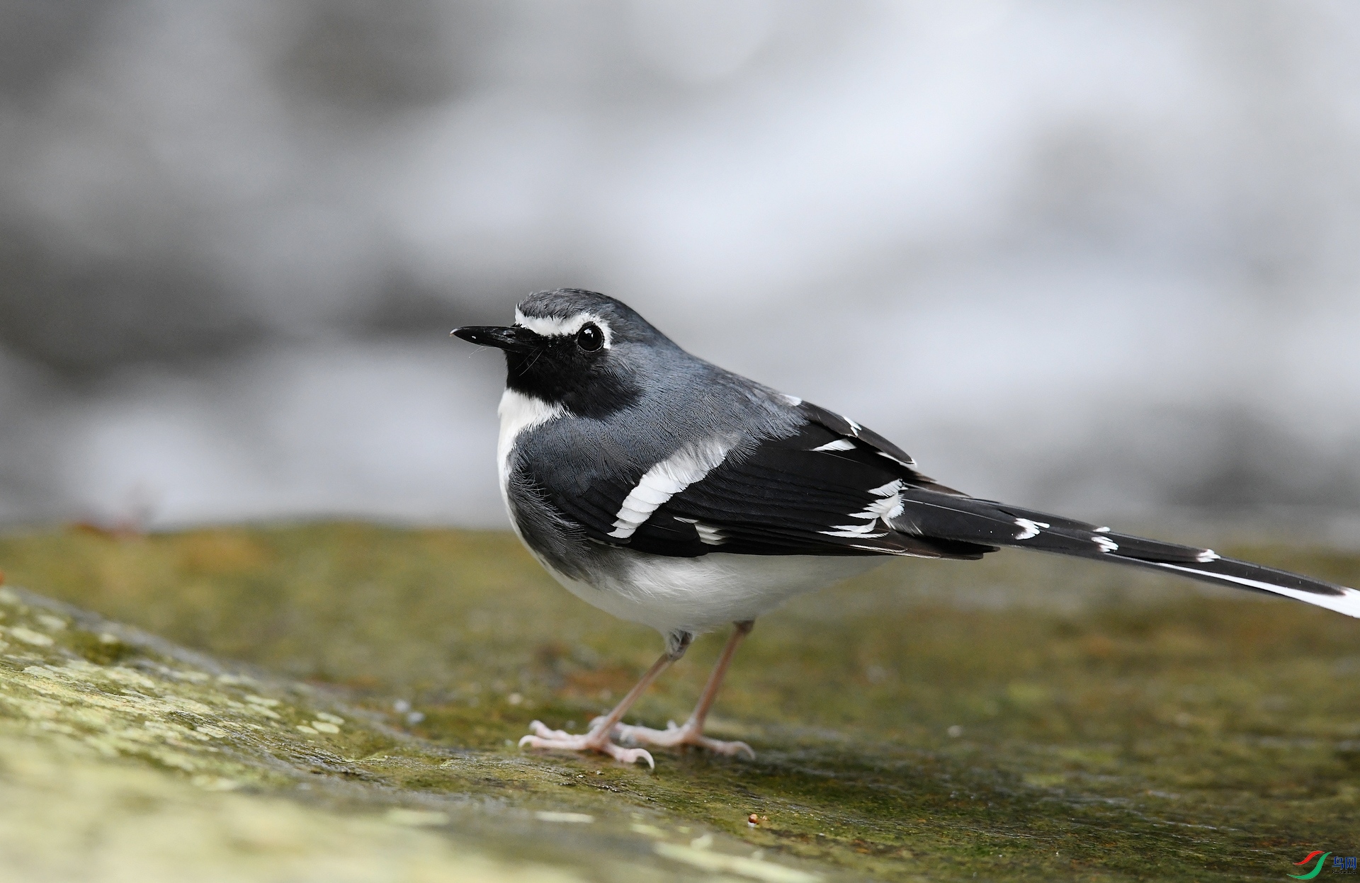 DSC_7054.jpg
