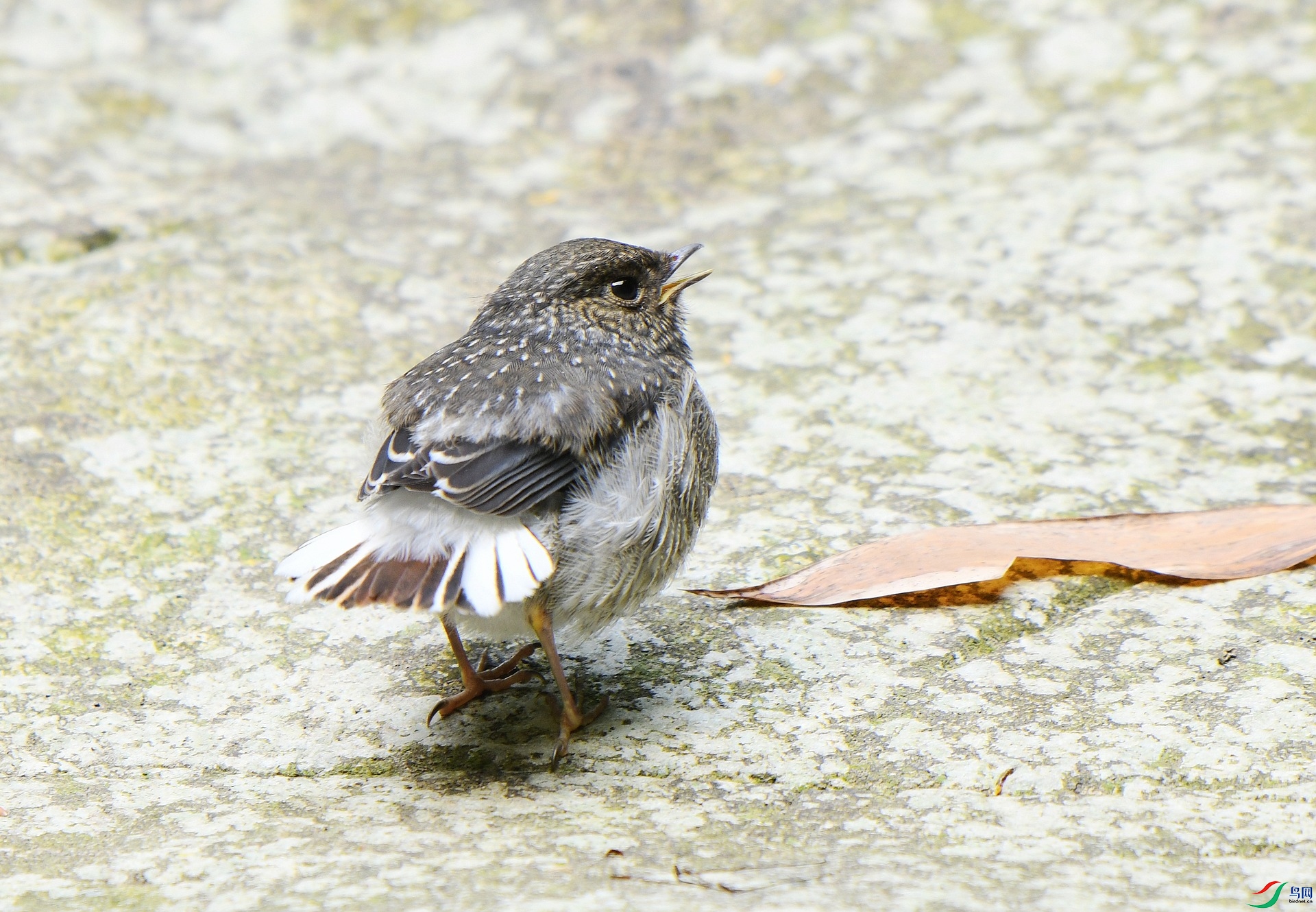 DSC_7570.jpg