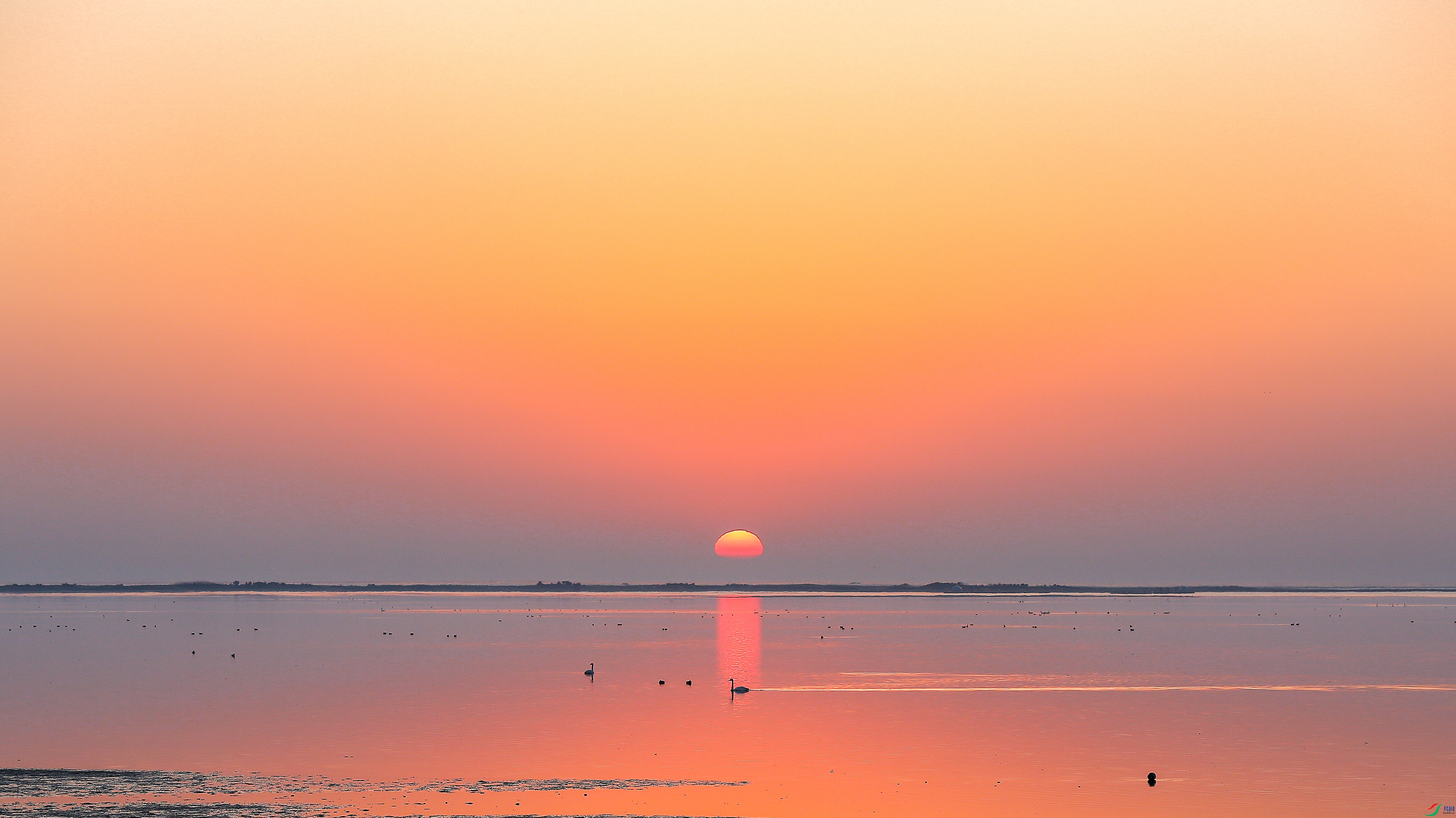 XT5A2471ɽ��26-4-14.jpg