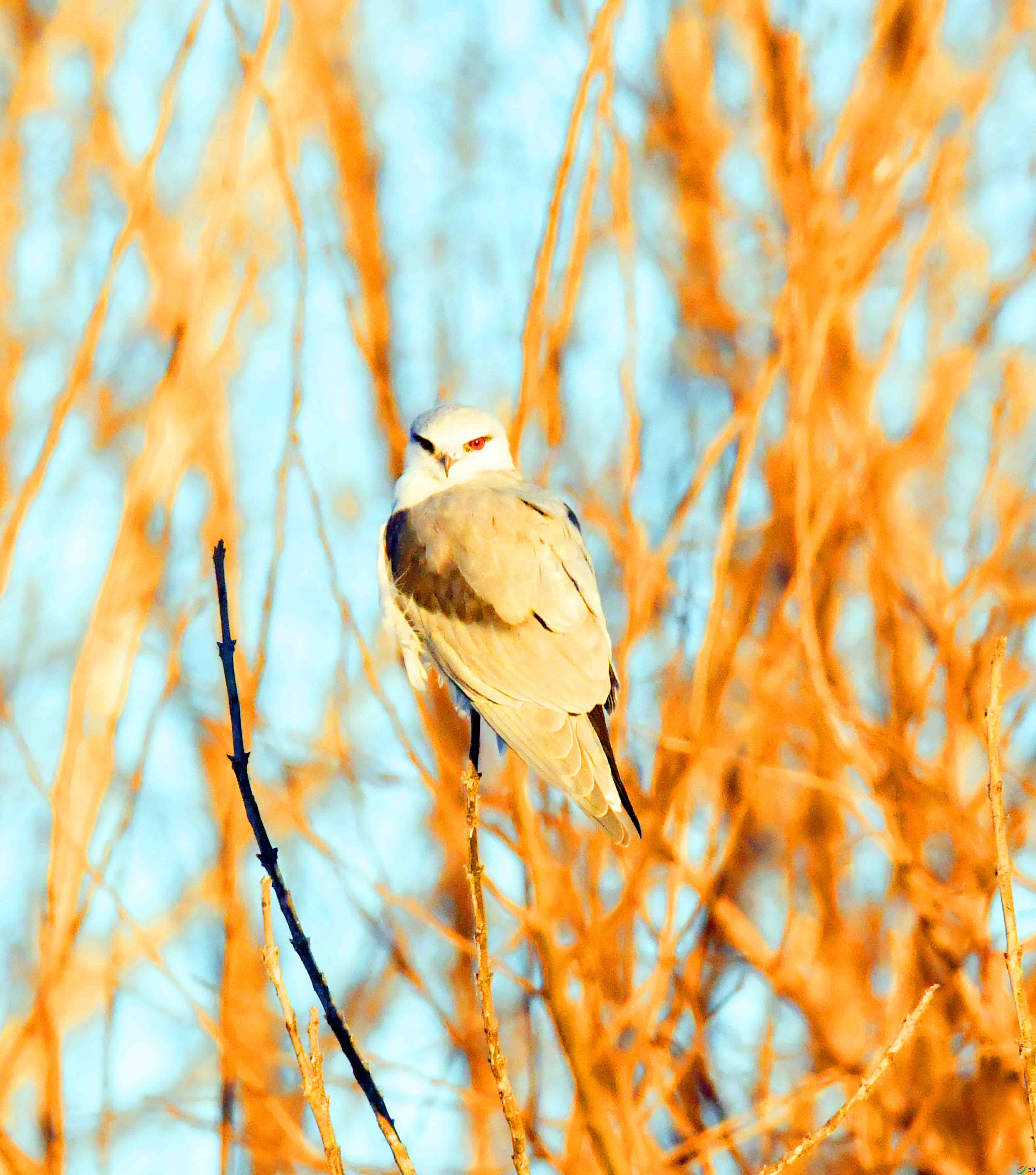 DSC_3357.JPG