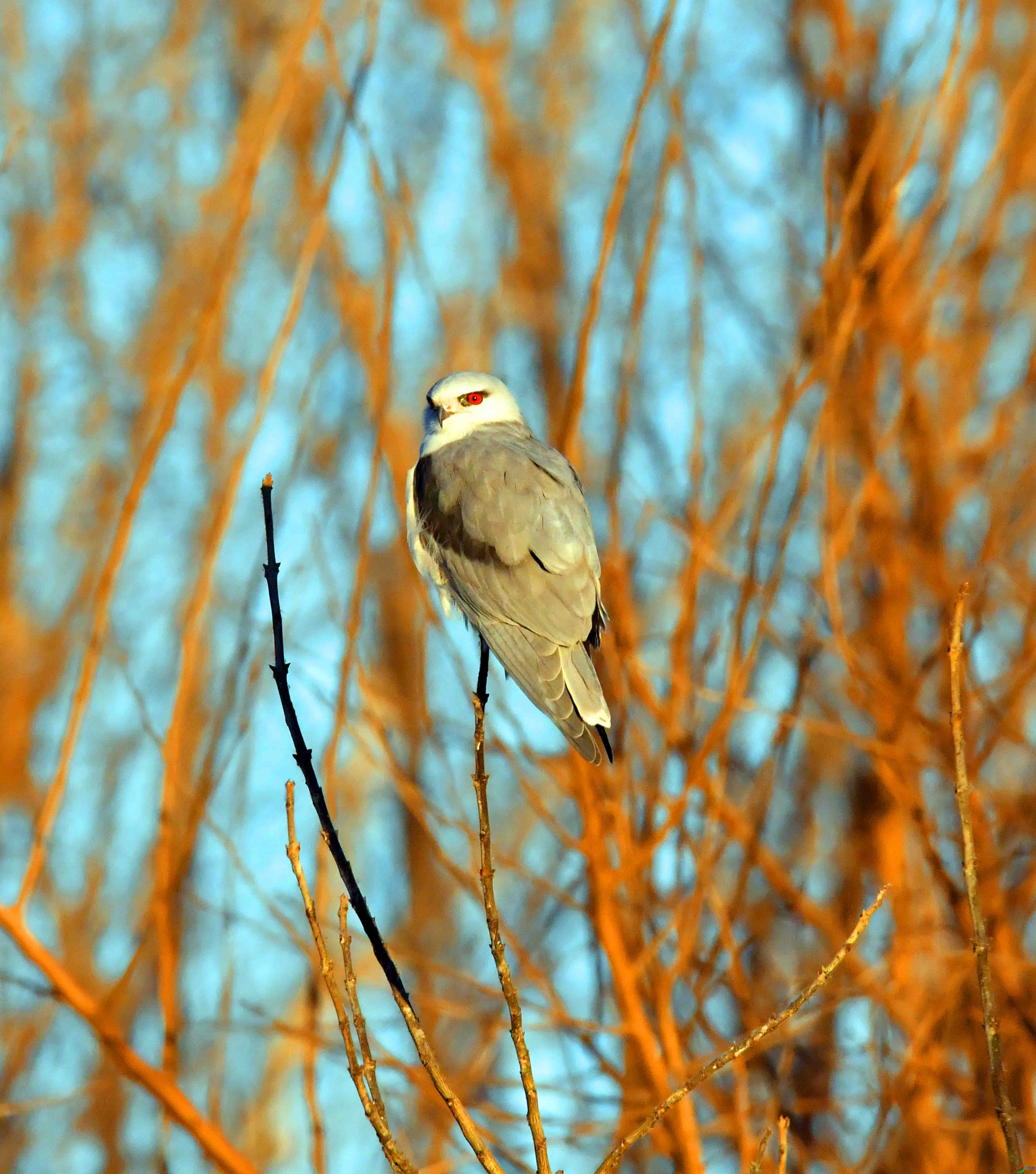 DSC_3498.JPG