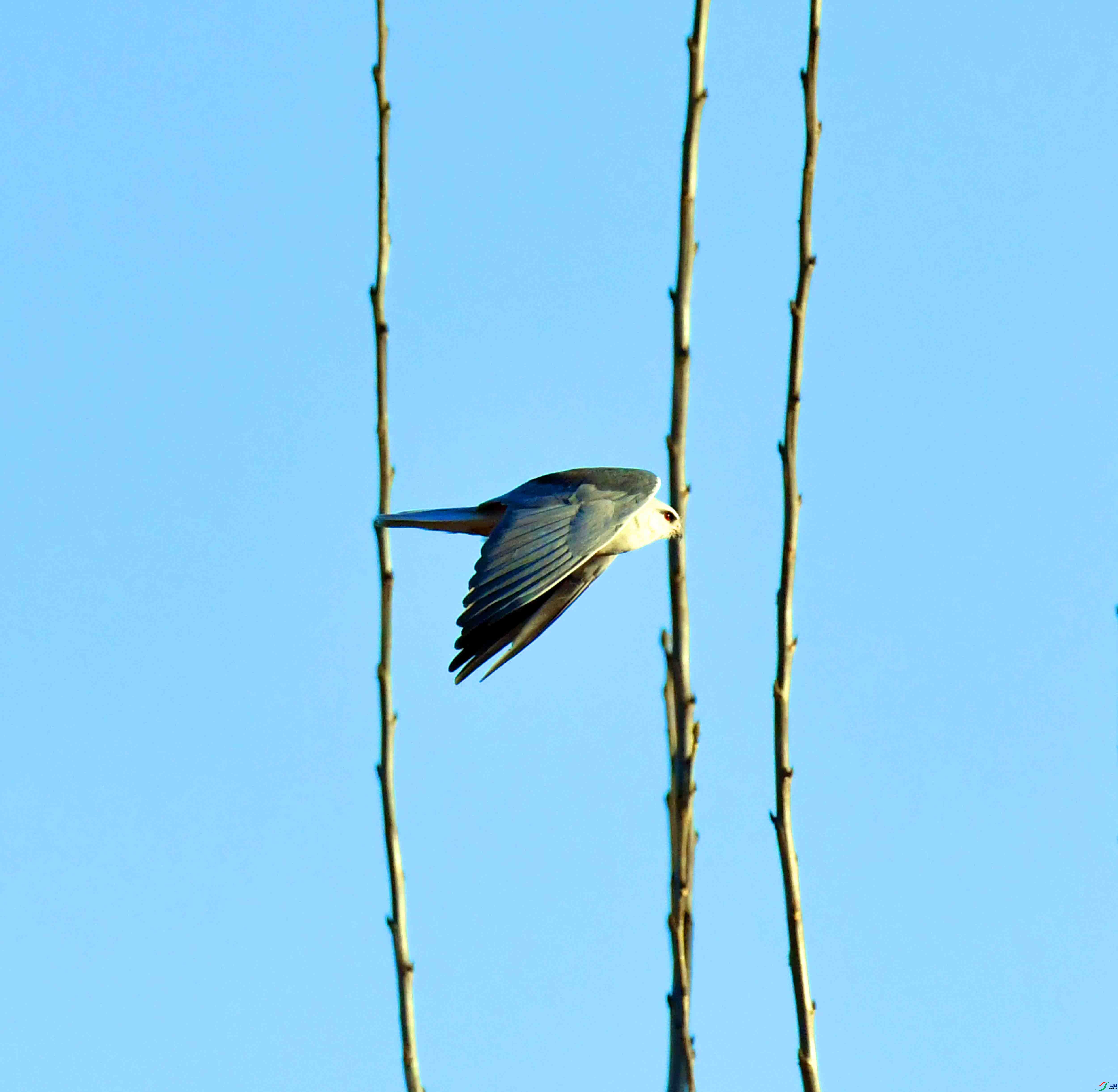 DSC_3857.JPG